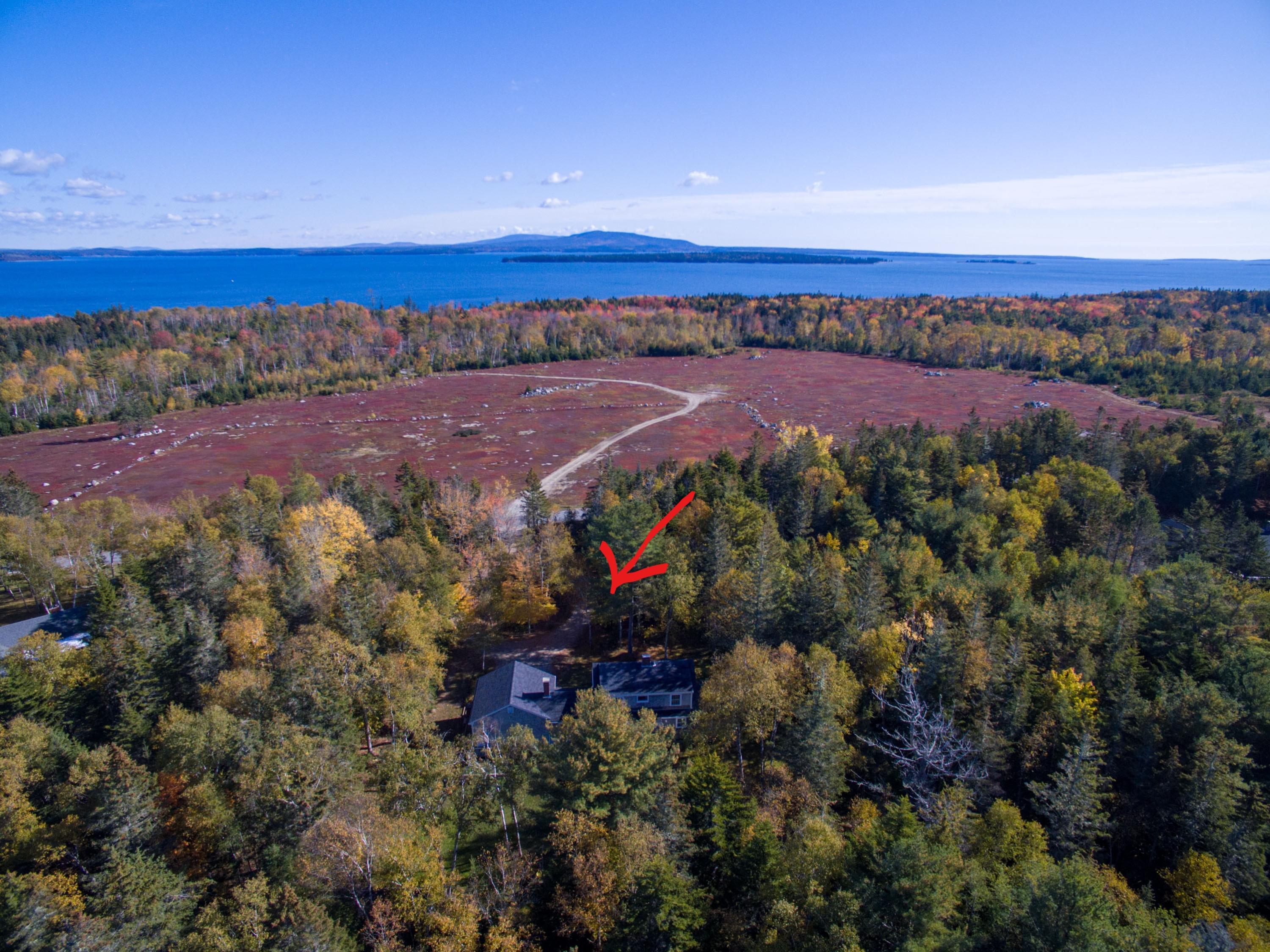 267 Flye Point Road Brooklin, ME 04616 - Photo 4 of 38 Flye Pointdji_0096_LI