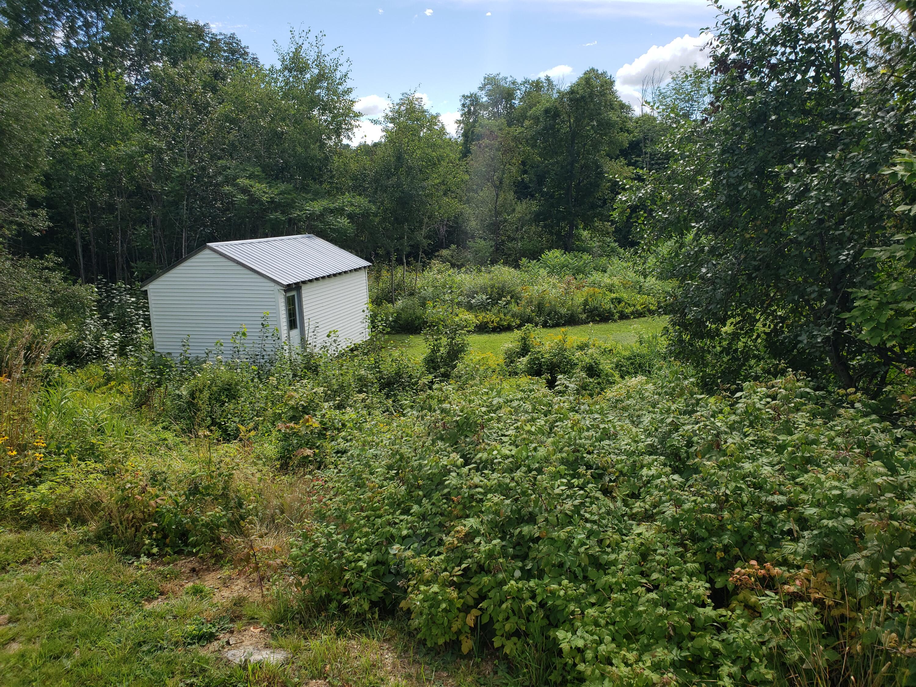 379 River Road Avon, ME 04966 - Photo 50 of 61 20220813_110314