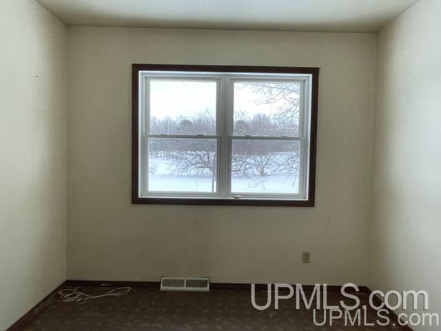 170 Orchard Co Road Skandia, MI 49885 - Photo 4 of 6