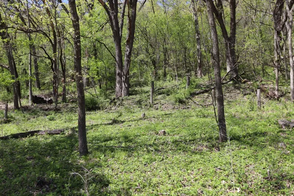 $495,000 | 398 Pleasant Hill Drive, Winona, MN 55987