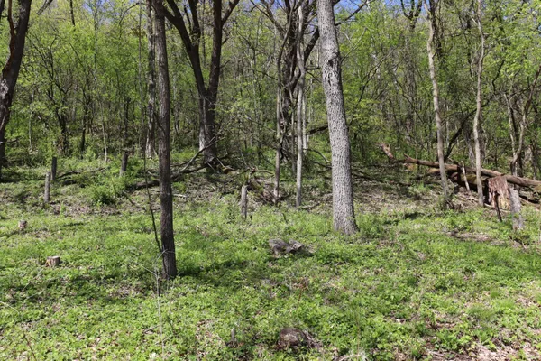 $495,000 | 398 Pleasant Hill Drive, Winona, MN 55987
