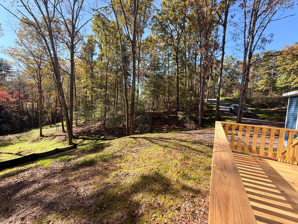 427 Lower Tails Creek Road Ellijay, GA 30540 - Photo 27 of 31 Gallery Image 27