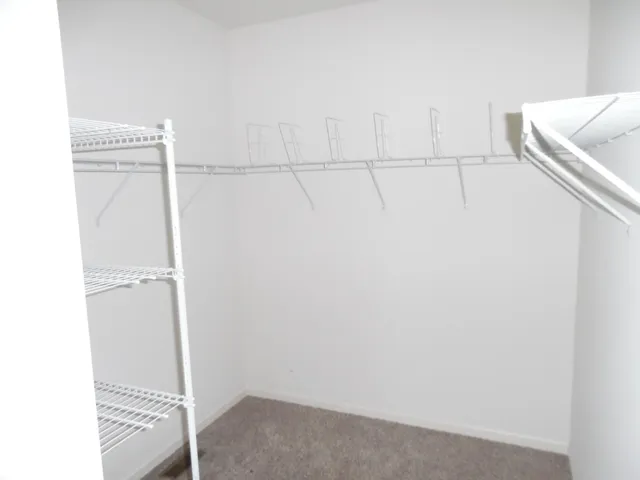 a view of walk in closet with empty racks