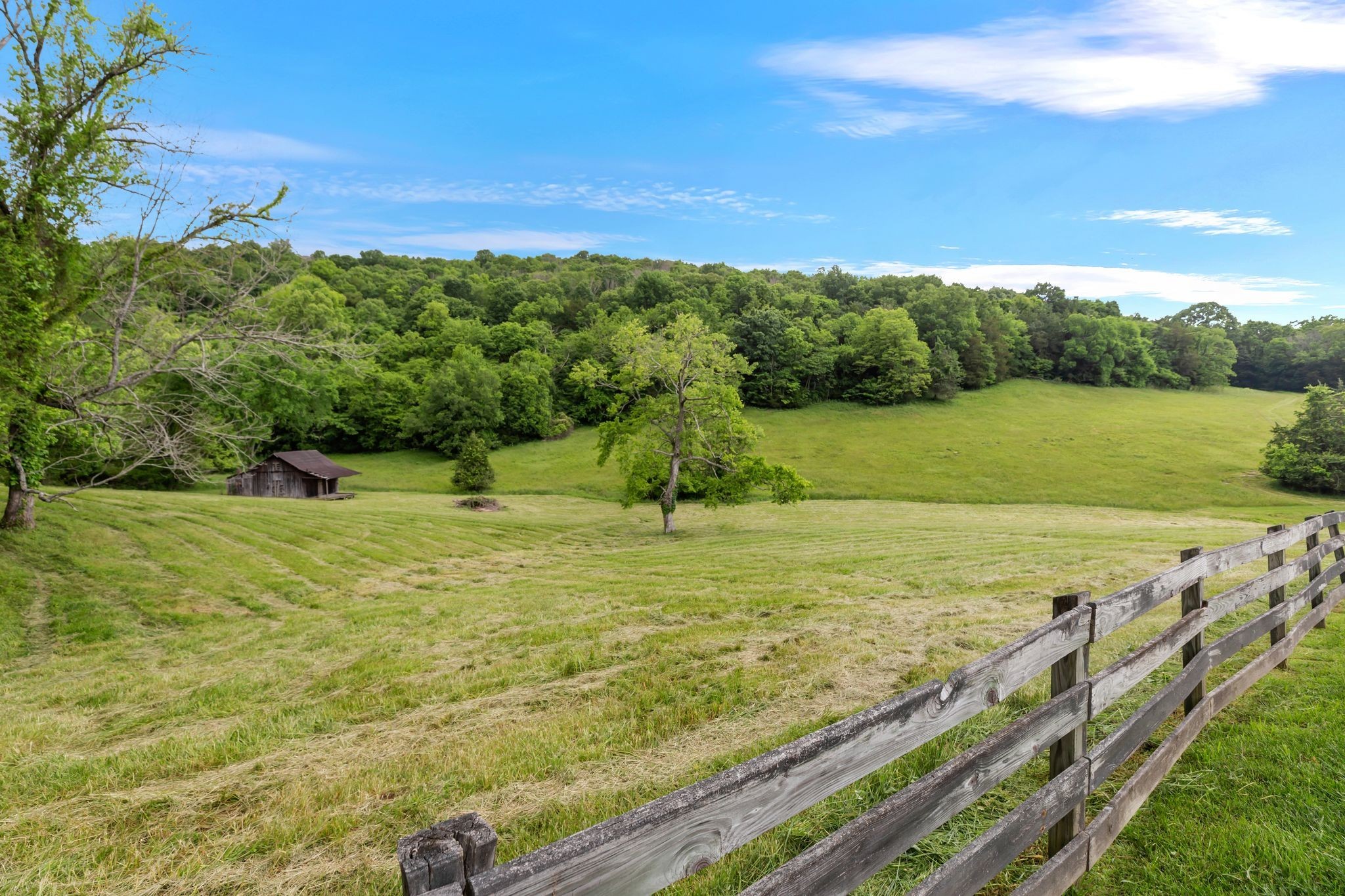1036 Reed Hollow Road Readyville, TN 37149 - Photo 18 of 90 a view of a field with an ocean