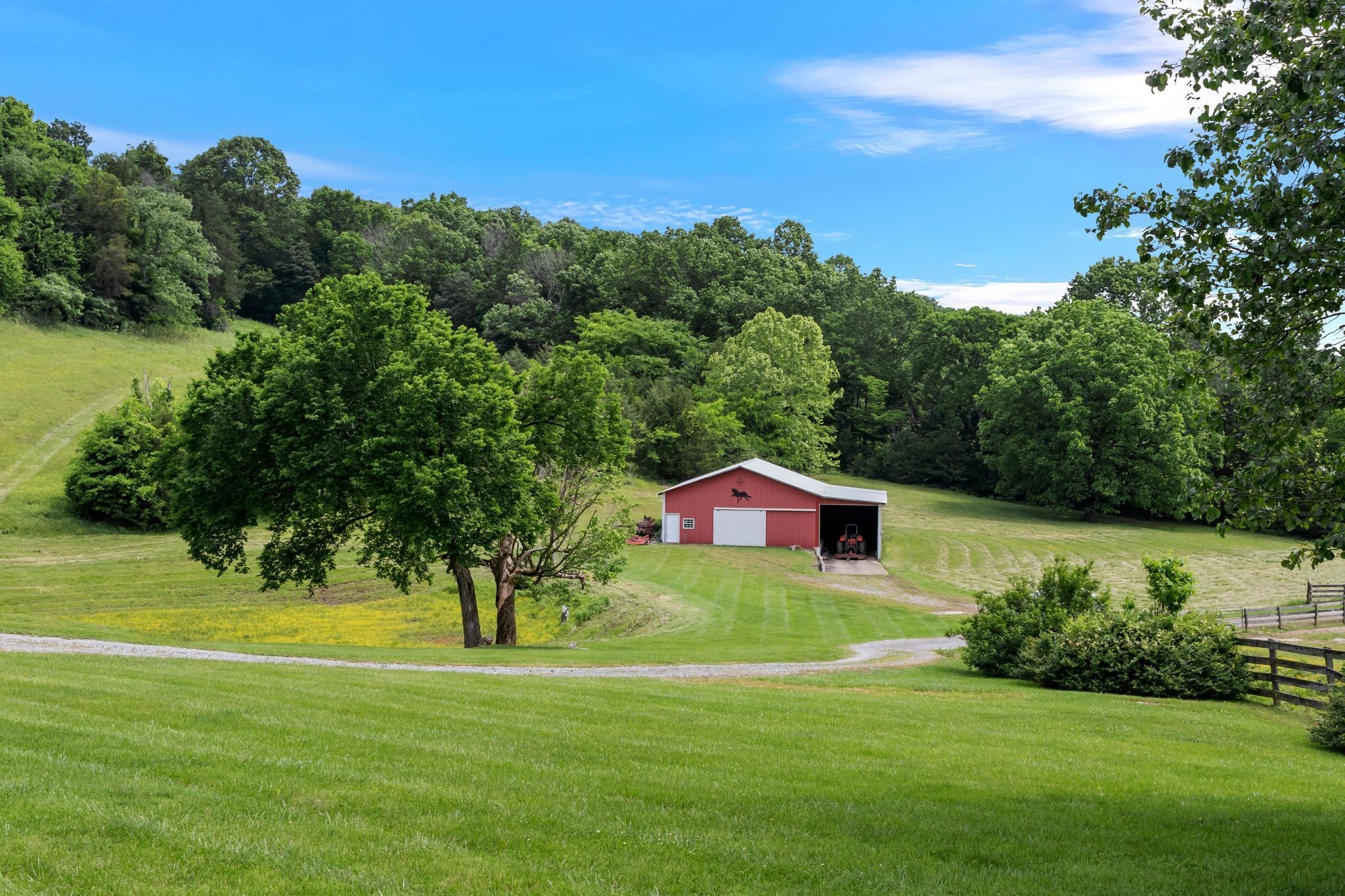 1036 Reed Hollow Road Readyville, TN 37149 - Photo 34 of 90 a view of a house with a yard