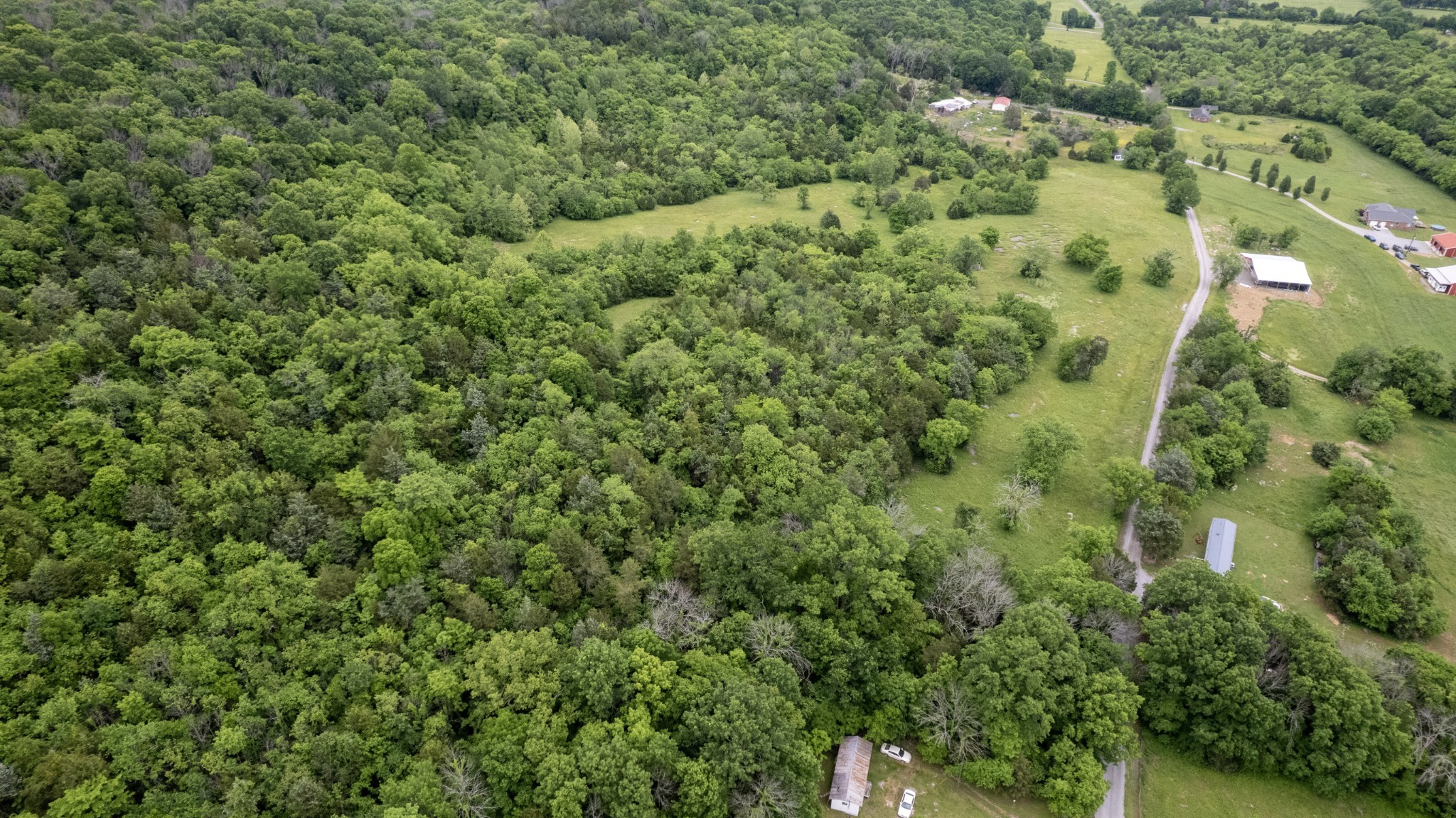 1036 Reed Hollow Road Readyville, TN 37149 - Photo 7 of 90