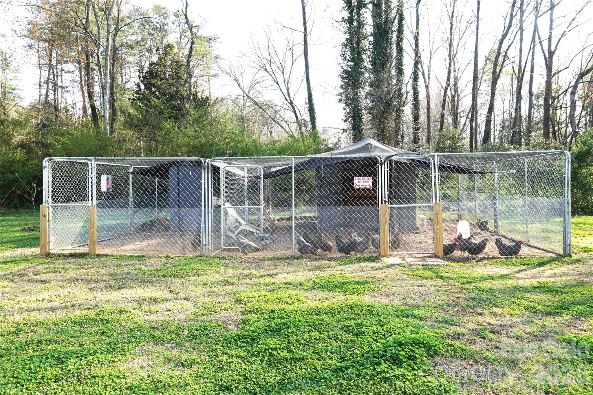 6591 George Hildebran School Road Hickory, NC 28602 - Photo 33 of 34