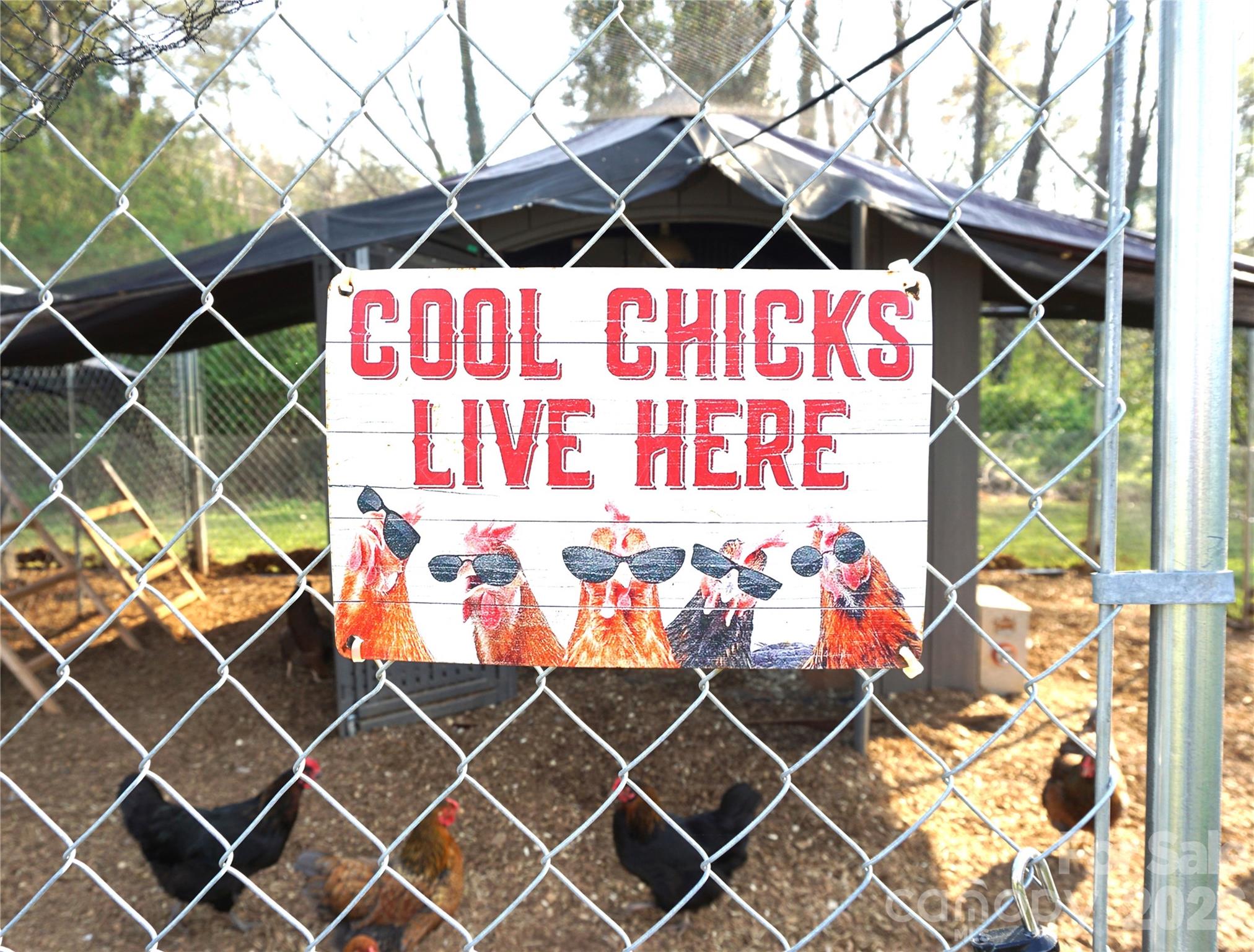 6591 George Hildebran School Road Hickory, NC 28602 - Photo 34 of 34