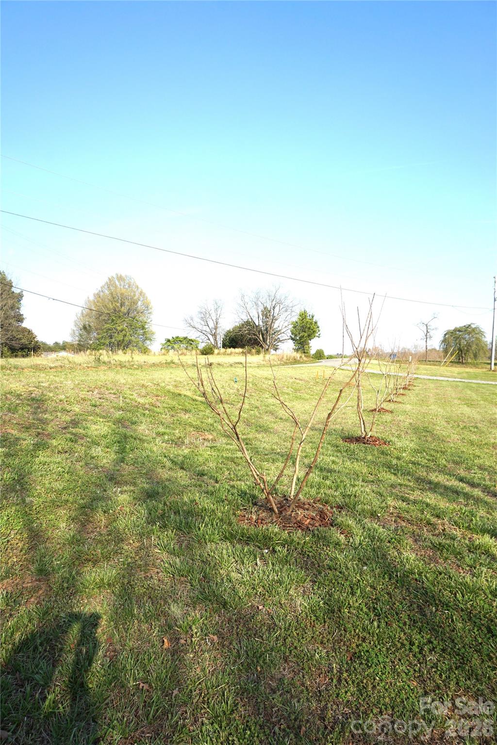 6591 George Hildebran School Road Hickory, NC 28602 - Photo 5 of 34