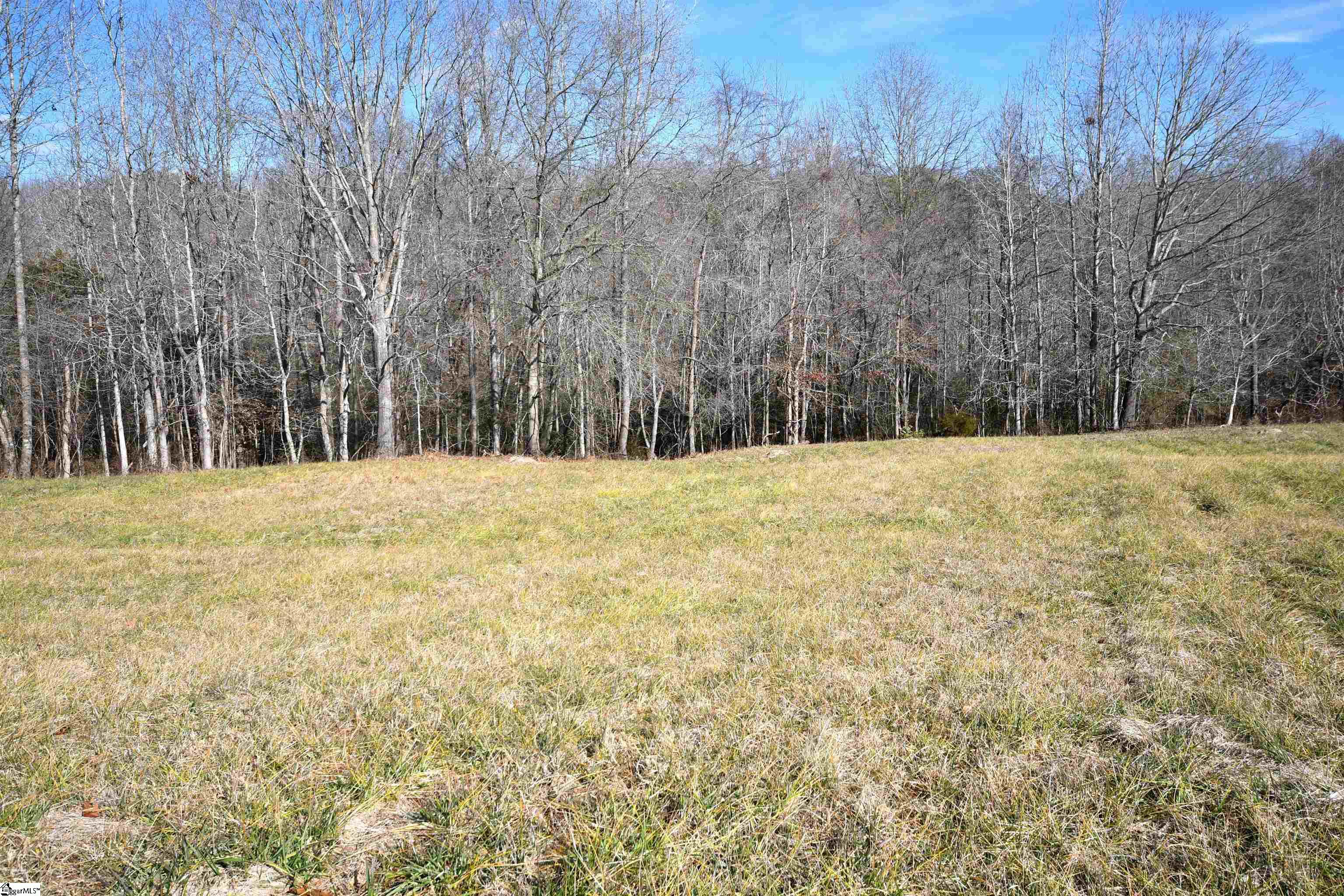 422 Grogan Road Woodruff, SC 29388 - Photo 13 of 19
