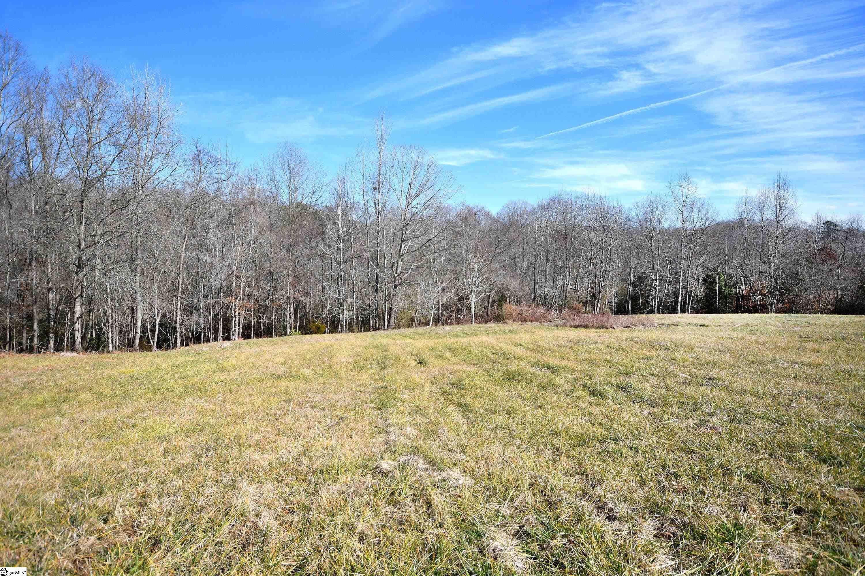422 Grogan Road Woodruff, SC 29388 - Photo 14 of 19