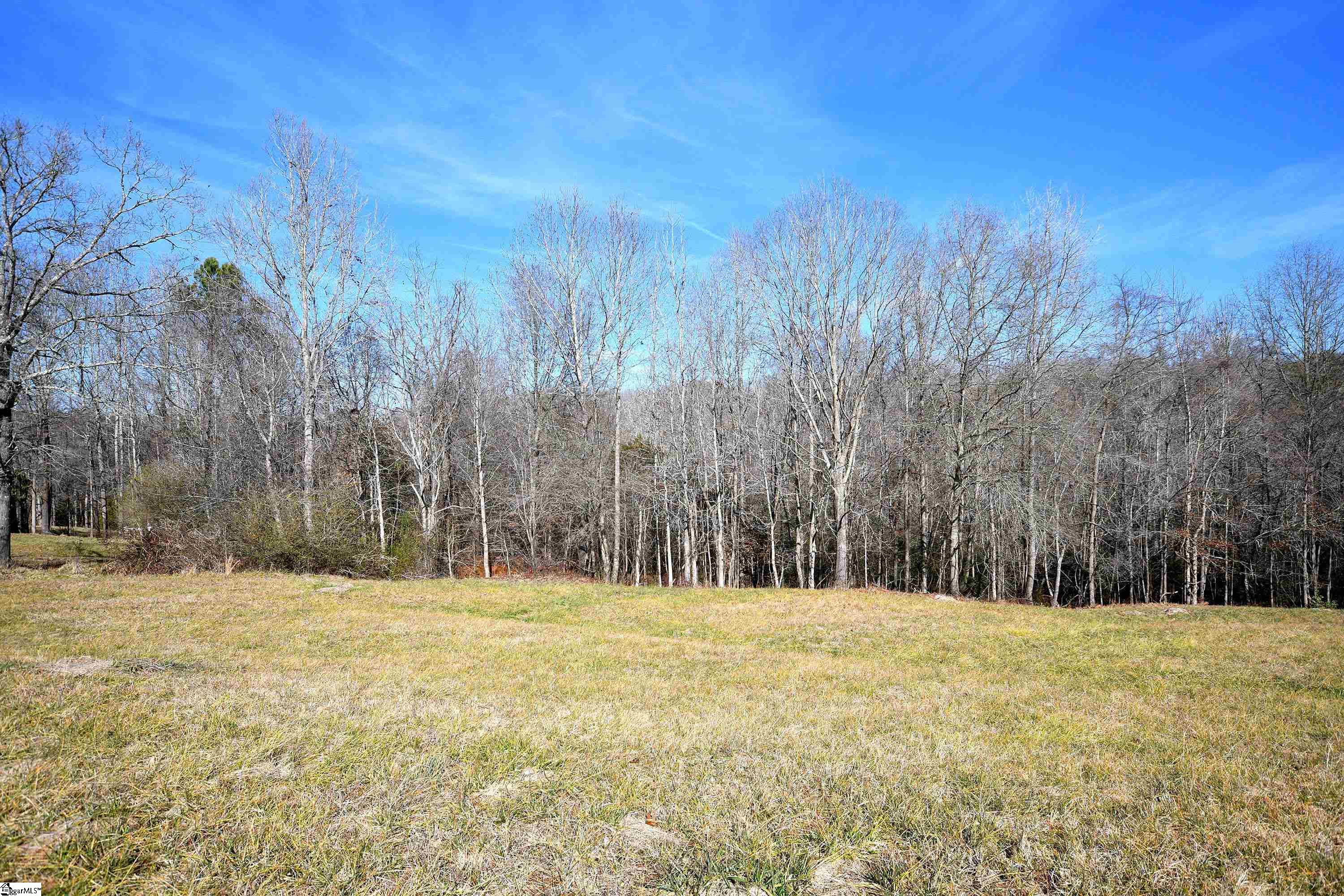 422 Grogan Road Woodruff, SC 29388 - Photo 15 of 19