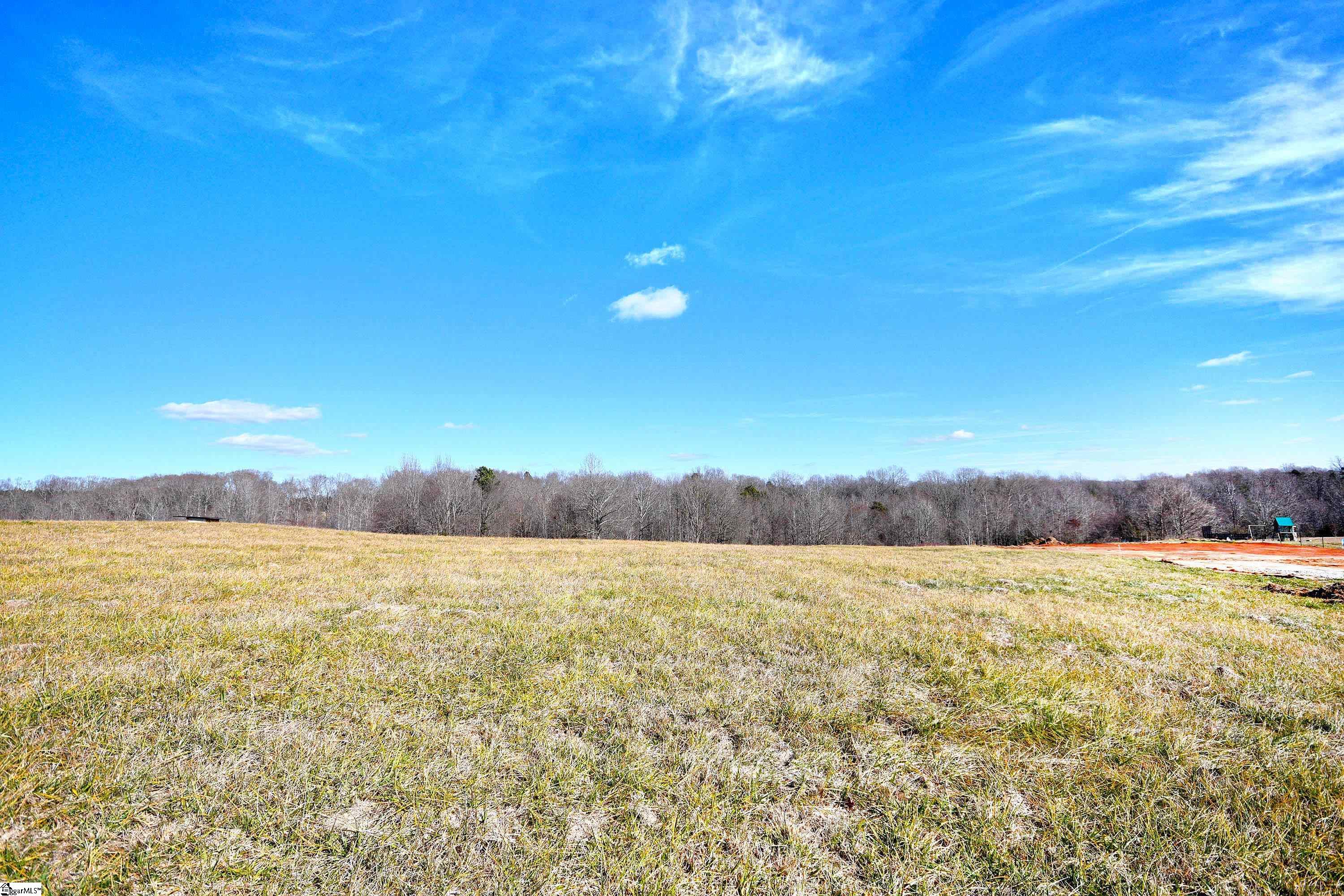 422 Grogan Road Woodruff, SC 29388 - Photo 2 of 19