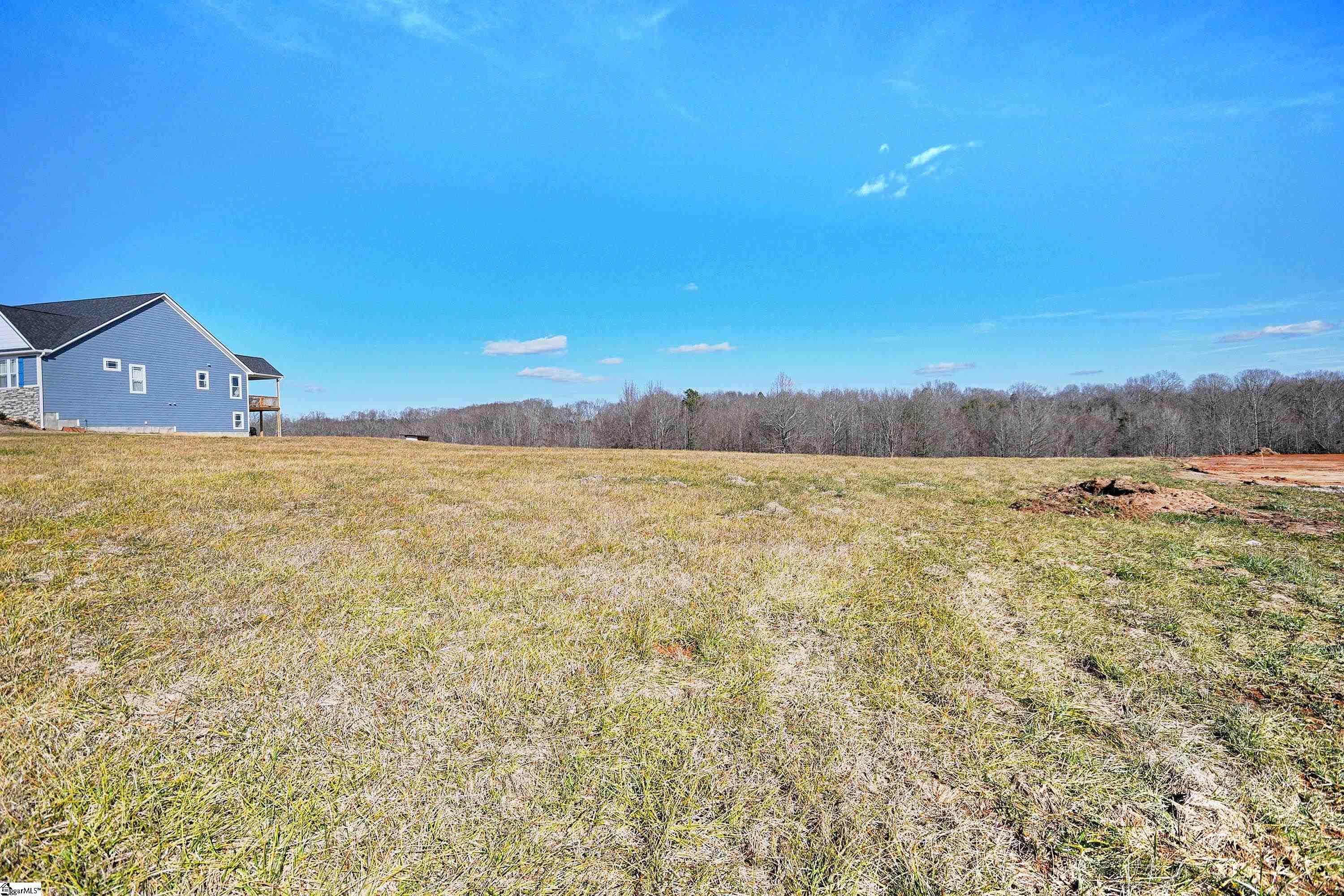 422 Grogan Road Woodruff, SC 29388 - Photo 4 of 19