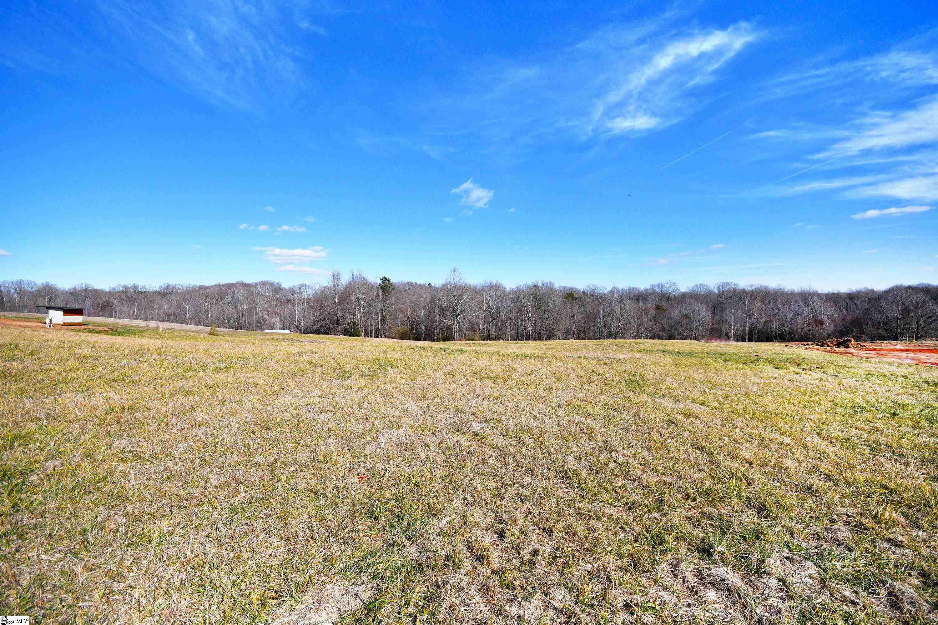 422 Grogan Road Woodruff, SC 29388 - Photo 7 of 19