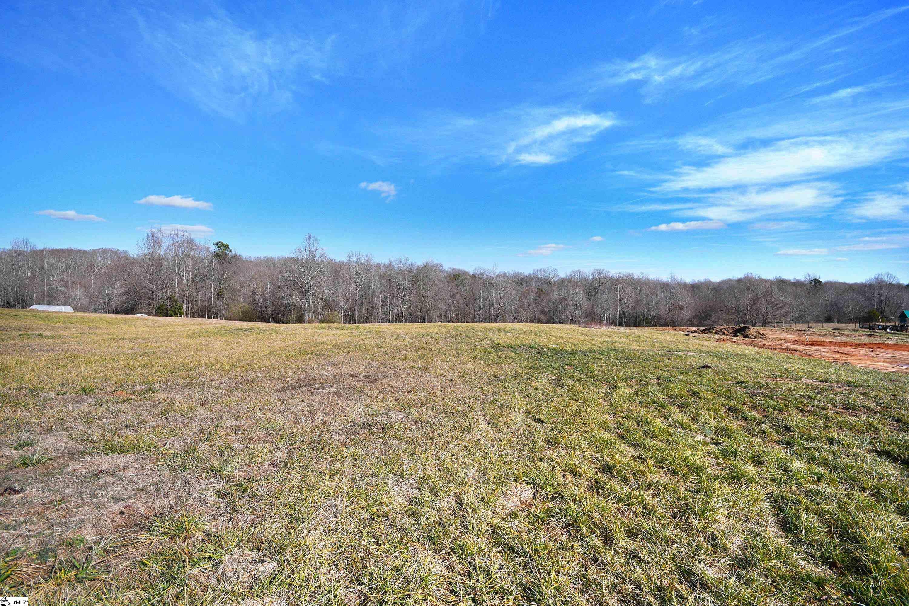 422 Grogan Road Woodruff, SC 29388 - Photo 8 of 19