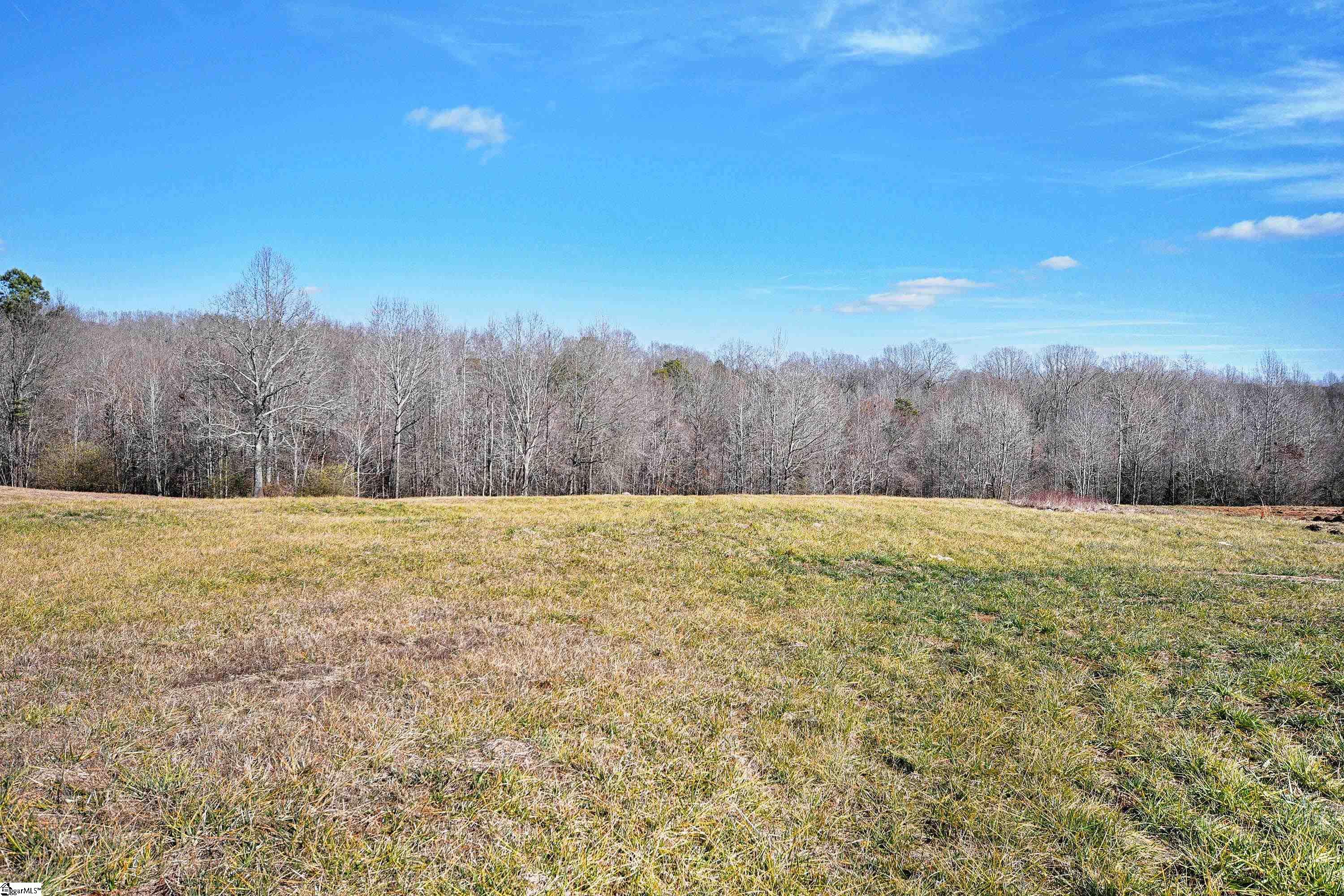 422 Grogan Road Woodruff, SC 29388 - Photo 9 of 19