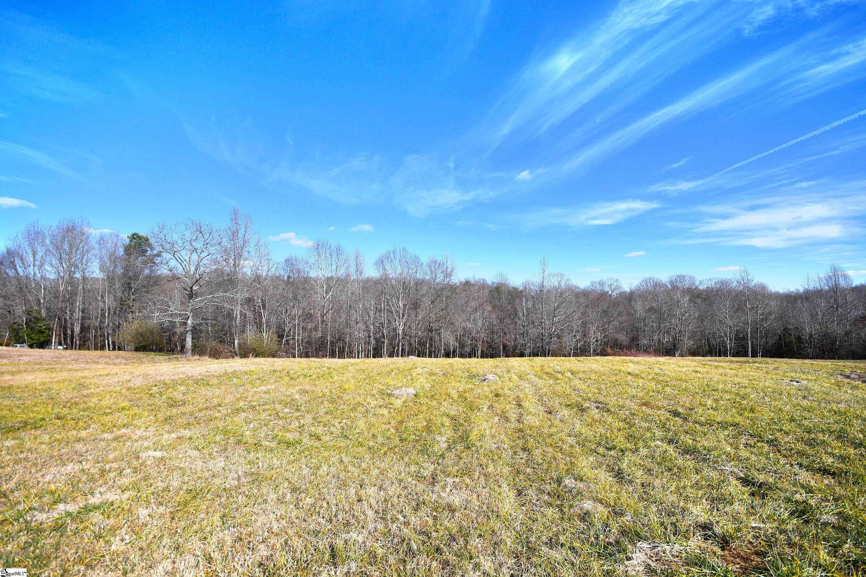 422 Grogan Road Woodruff, SC 29388 - Photo 10 of 19