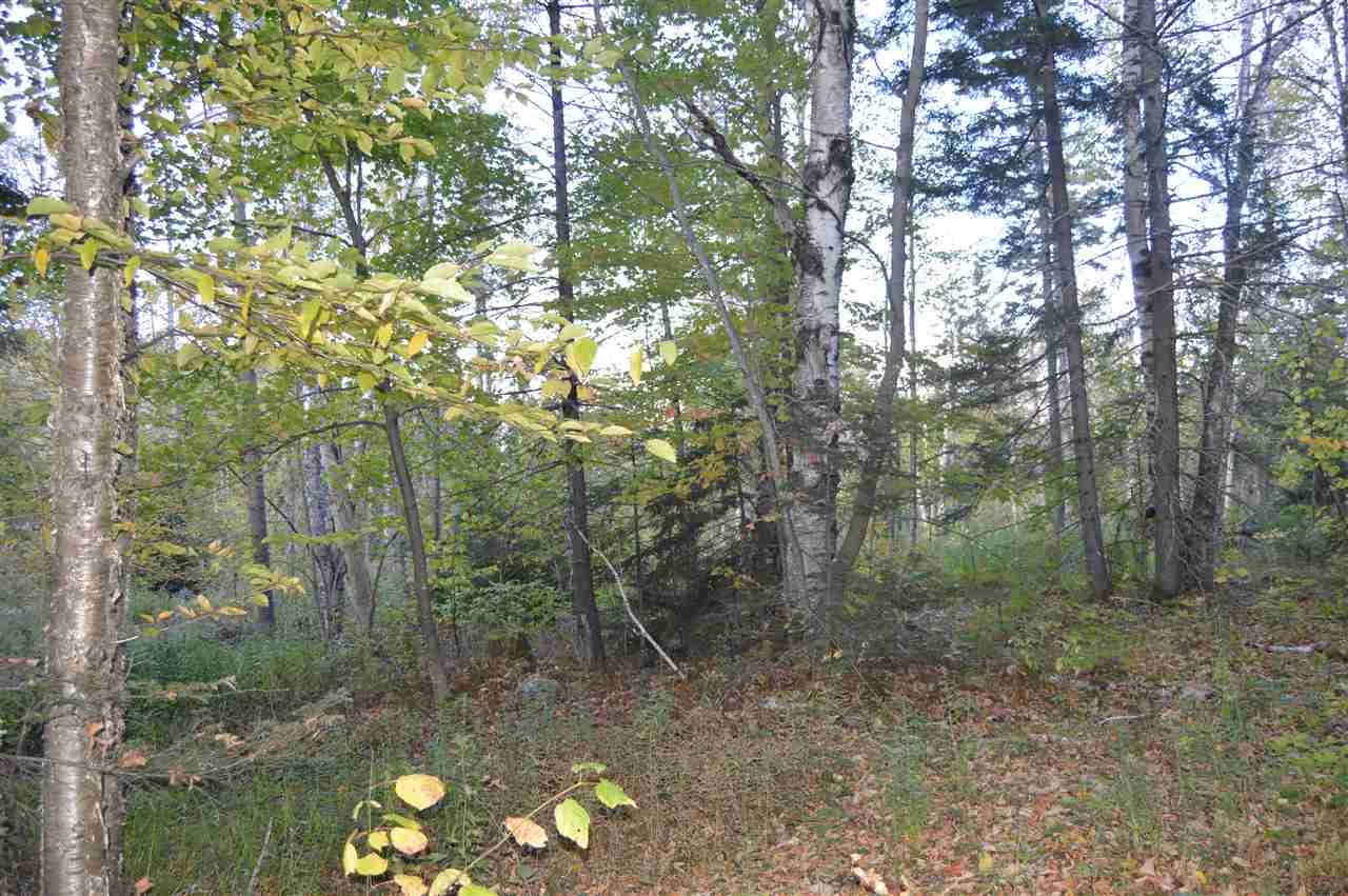 1 Healdville Road, Unit 1 Mount Holly, VT 05730 - Photo 4 of 7