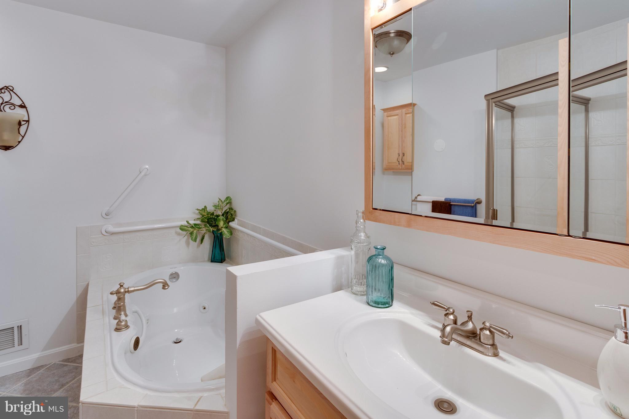 9803 Natick Road Burke, VA 22015 - Photo 18 of 29 Bath (Master)
