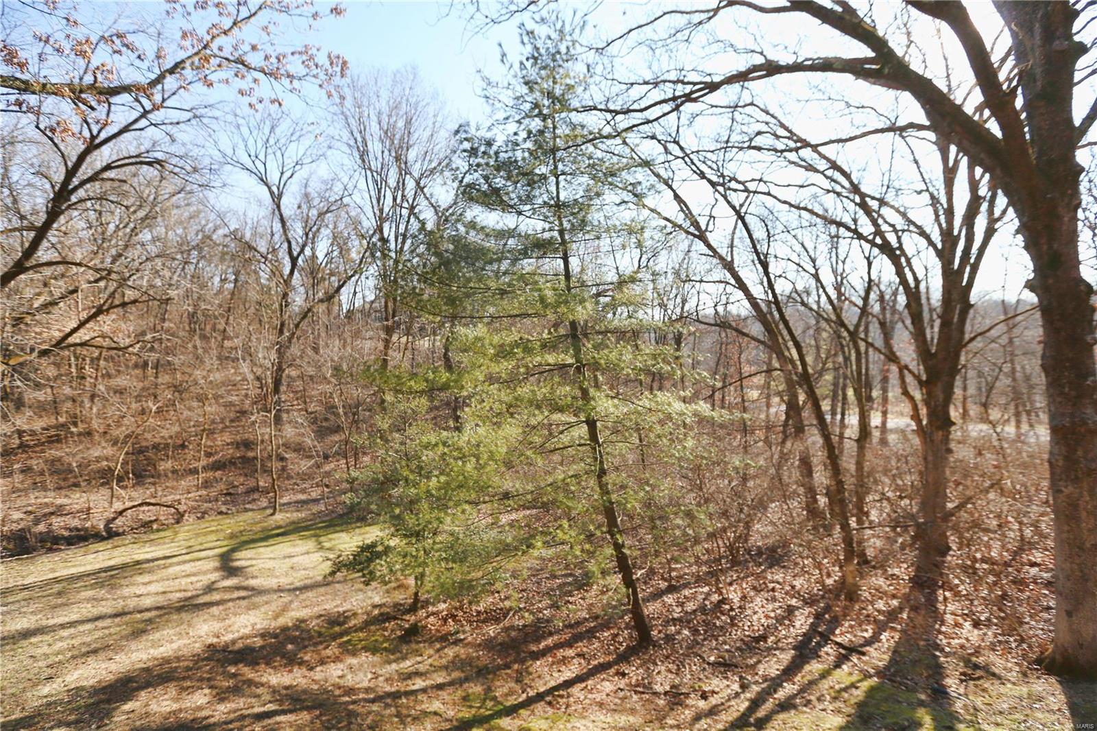 1726 Horseshoe Ridge Road Chesterfield, MO 63005 - Photo 32 of 49 Gallery Image 32