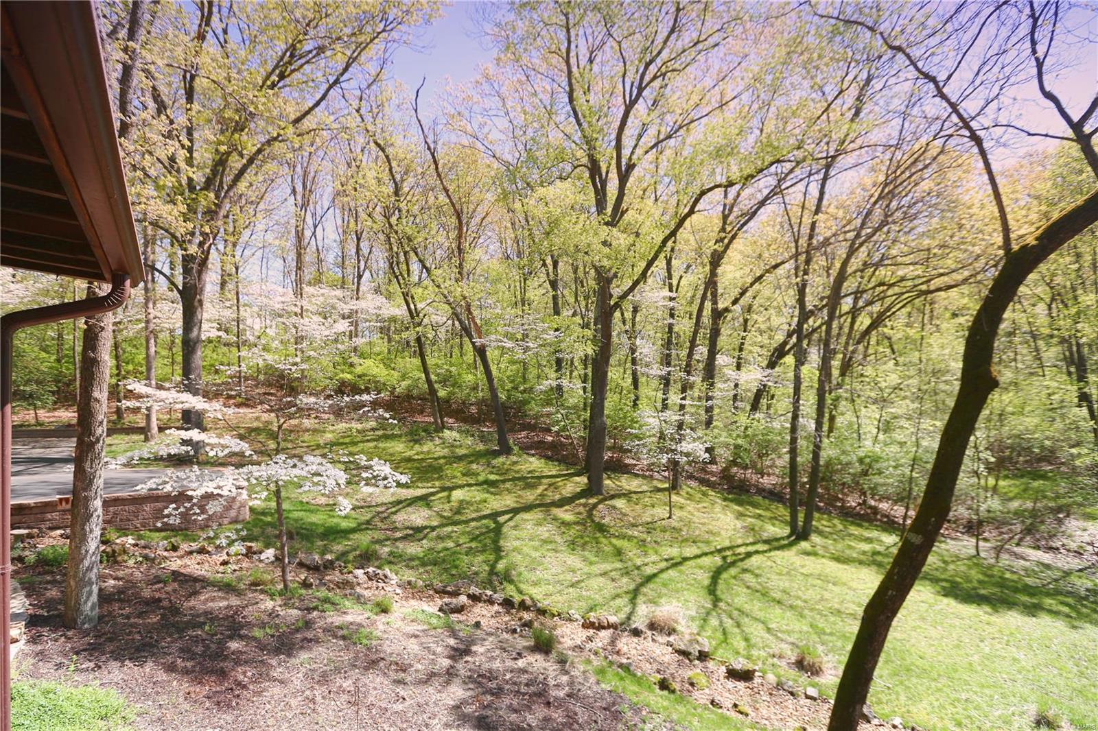 1726 Horseshoe Ridge Road Chesterfield, MO 63005 - Photo 33 of 49 Gallery Image 33