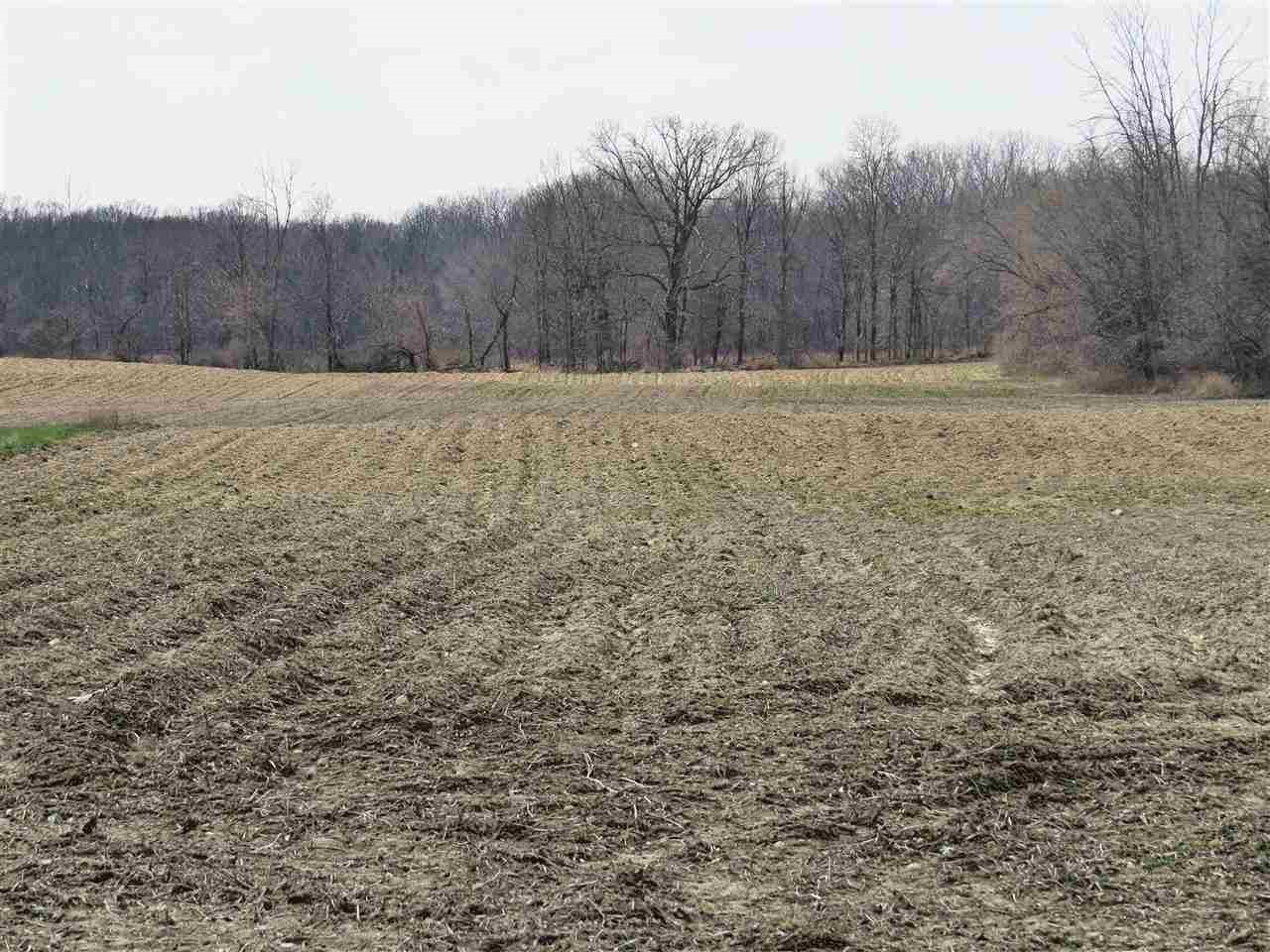 Odell Road Linden, MI 48451 - Photo 4 of 6