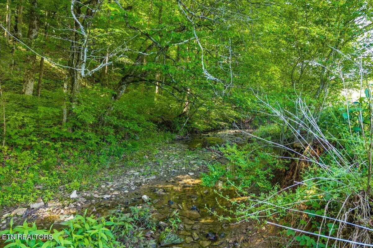 0 Shaddon Road Tellico Plains, TN 37385 - Photo 4 of 17 a view of a lush green forest