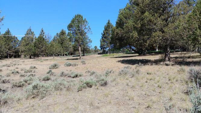 Sunset Beach Road Klamath Falls, OR 97601 - Photo 2 of 5 Level for building (002)