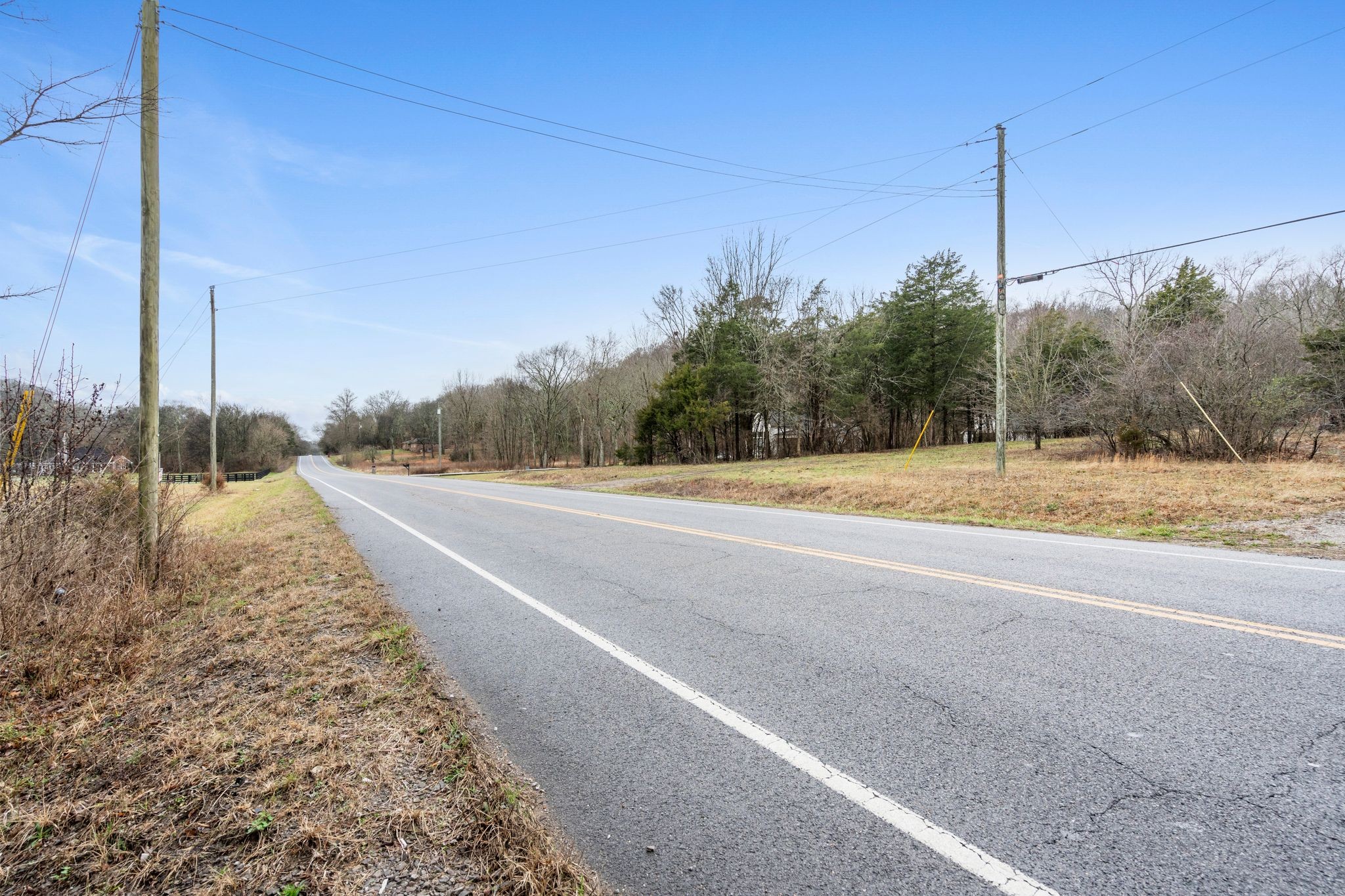0 Carters Creek Pike Franklin, TN 37064 - Photo 22 of 36 a view of a road with a yard