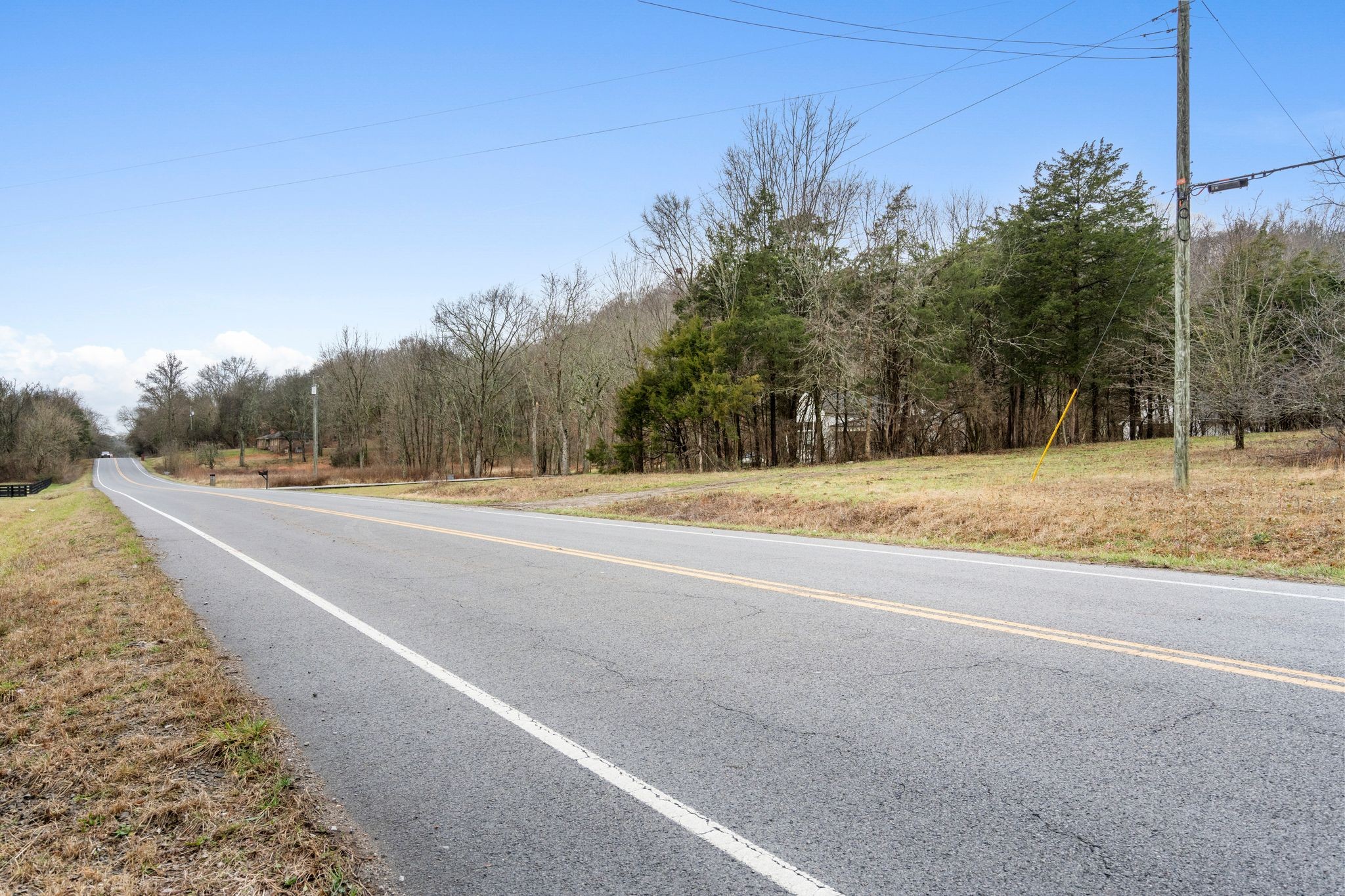 0 Carters Creek Pike Franklin, TN 37064 - Photo 23 of 36 a view of a field with trees in the background