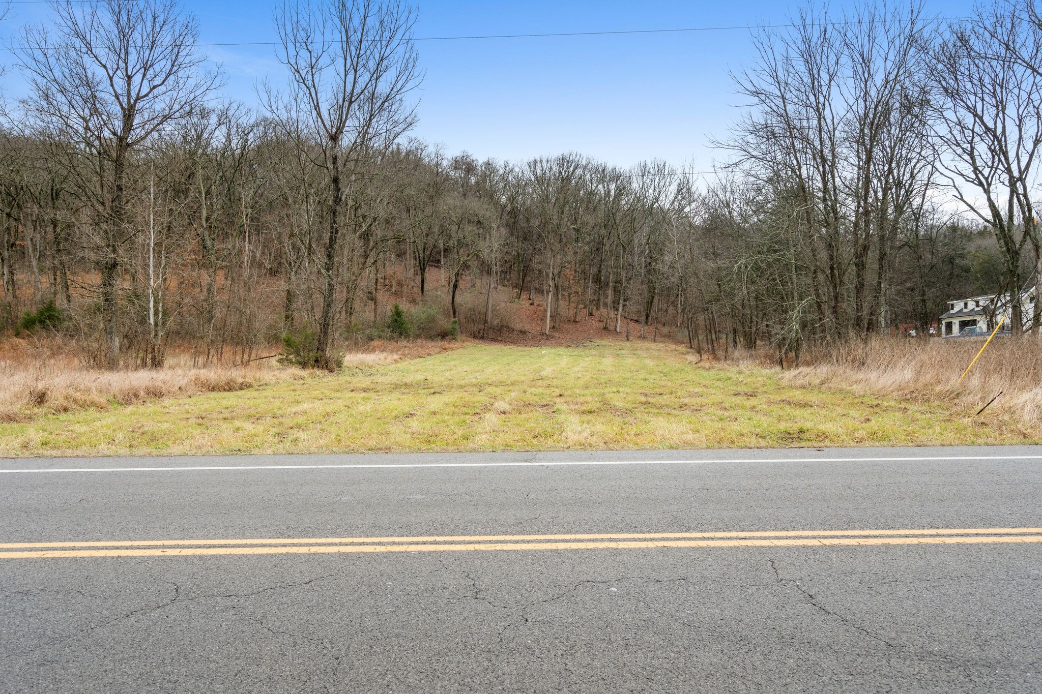 0 Carters Creek Pike Franklin, TN 37064 - Photo 24 of 36 a view of a swimming pool with a yard