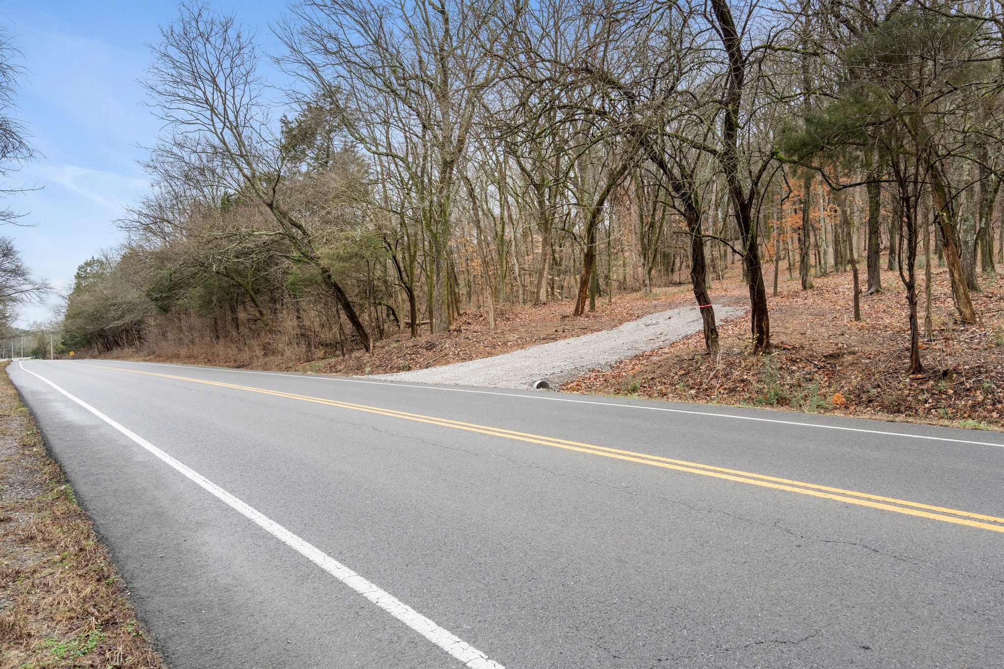 0 Carters Creek Pike Franklin, TN 37064 - Photo 25 of 36 a view of a backyard space