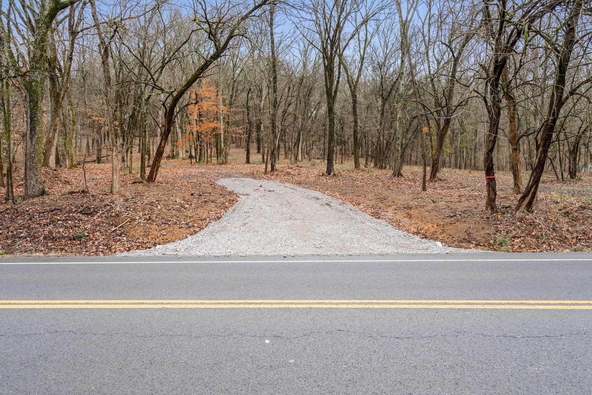 0 Carters Creek Pike Franklin, TN 37064 - Photo 26 of 36 a view of a backyard of snow