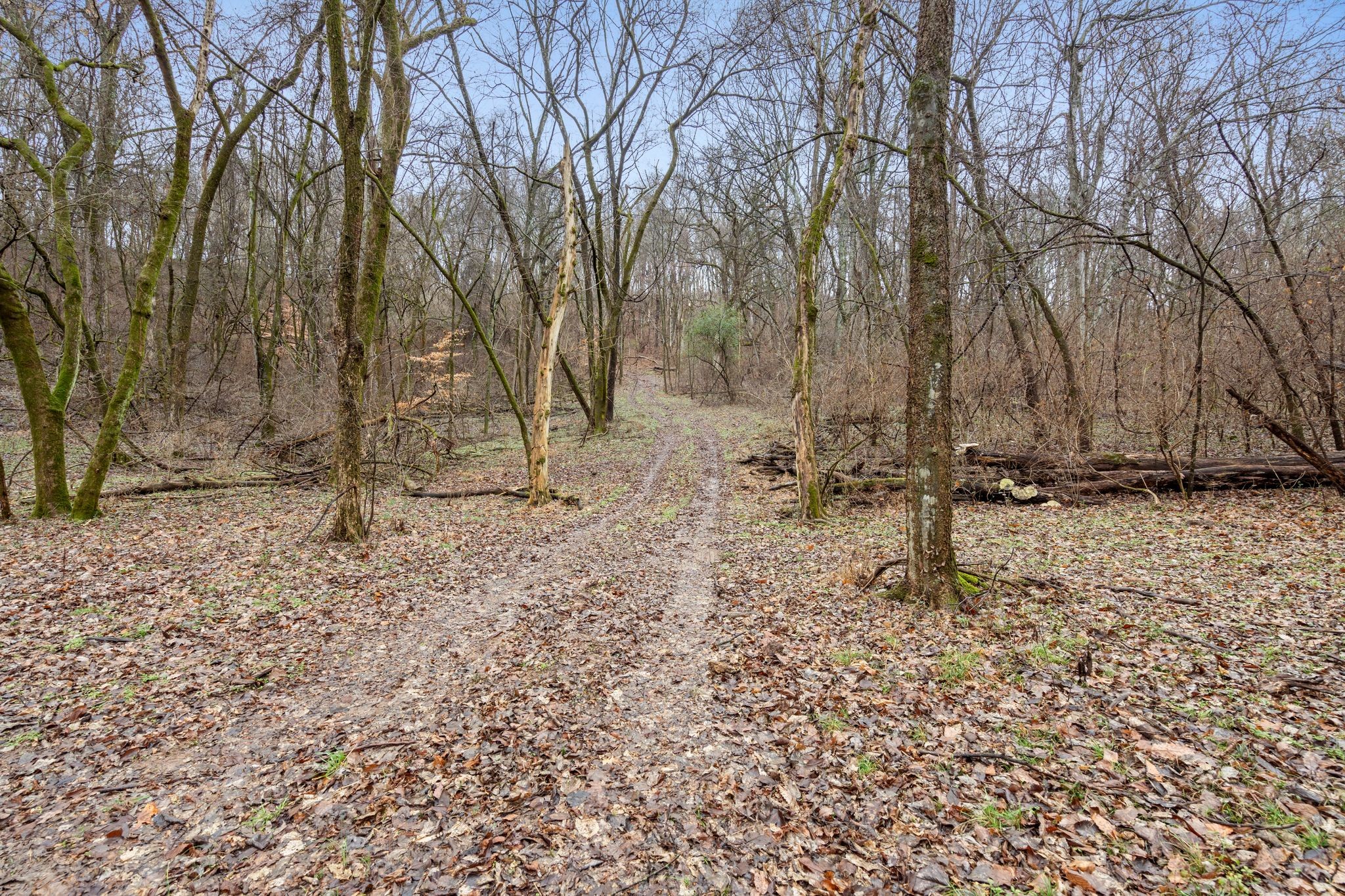 0 Carters Creek Pike Franklin, TN 37064 - Photo 27 of 36 a backyard of a house with lots of green space