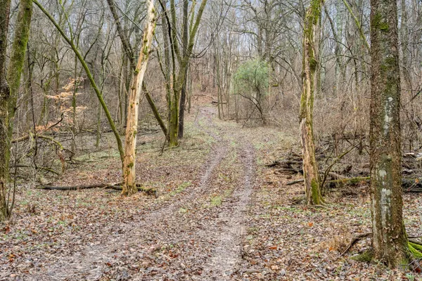 a view of empty room with trees