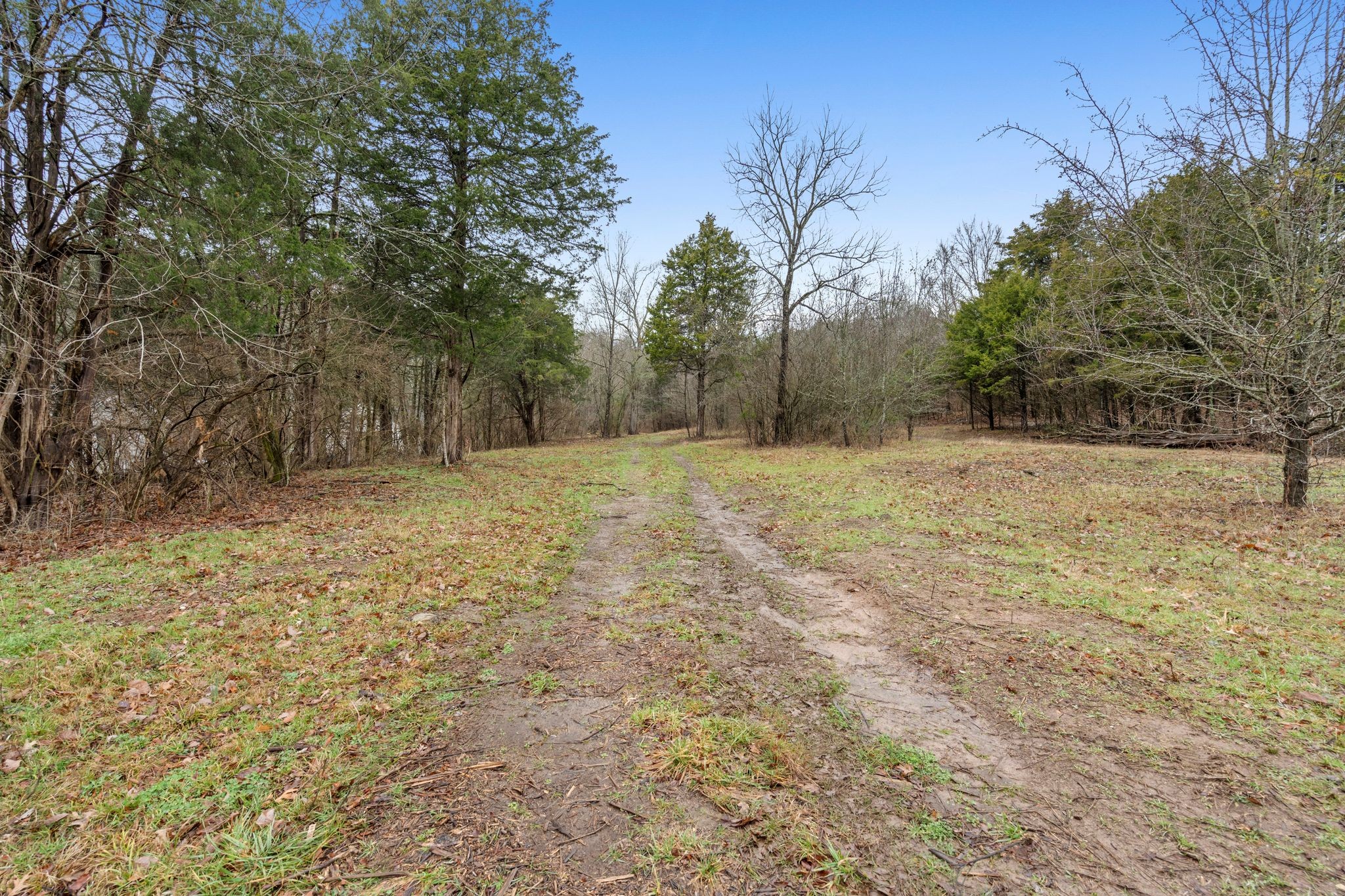 0 Carters Creek Pike Franklin, TN 37064 - Photo 33 of 36 a view of empty room with trees