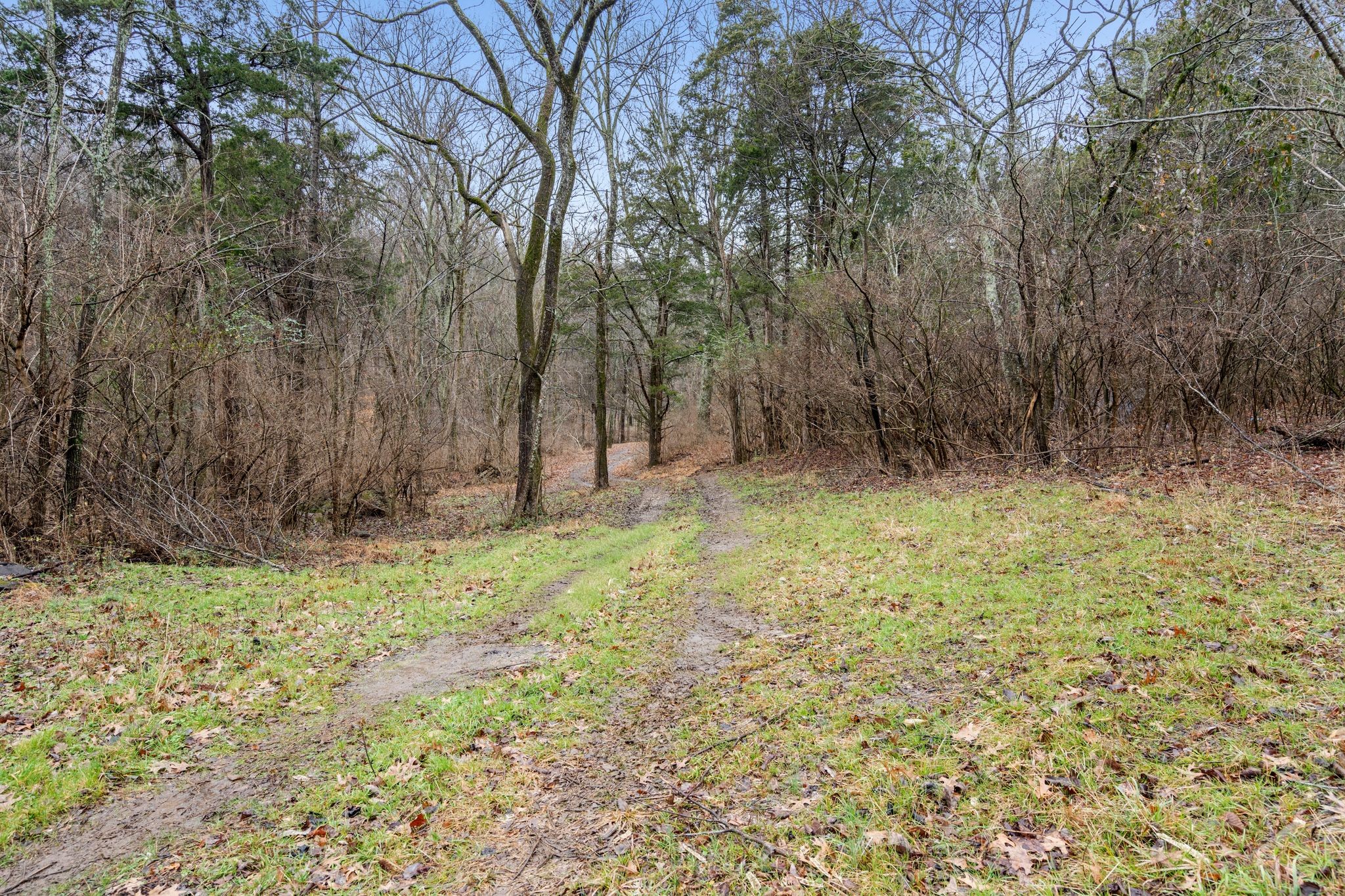0 Carters Creek Pike Franklin, TN 37064 - Photo 34 of 36 a fire hydrant in the middle of a field