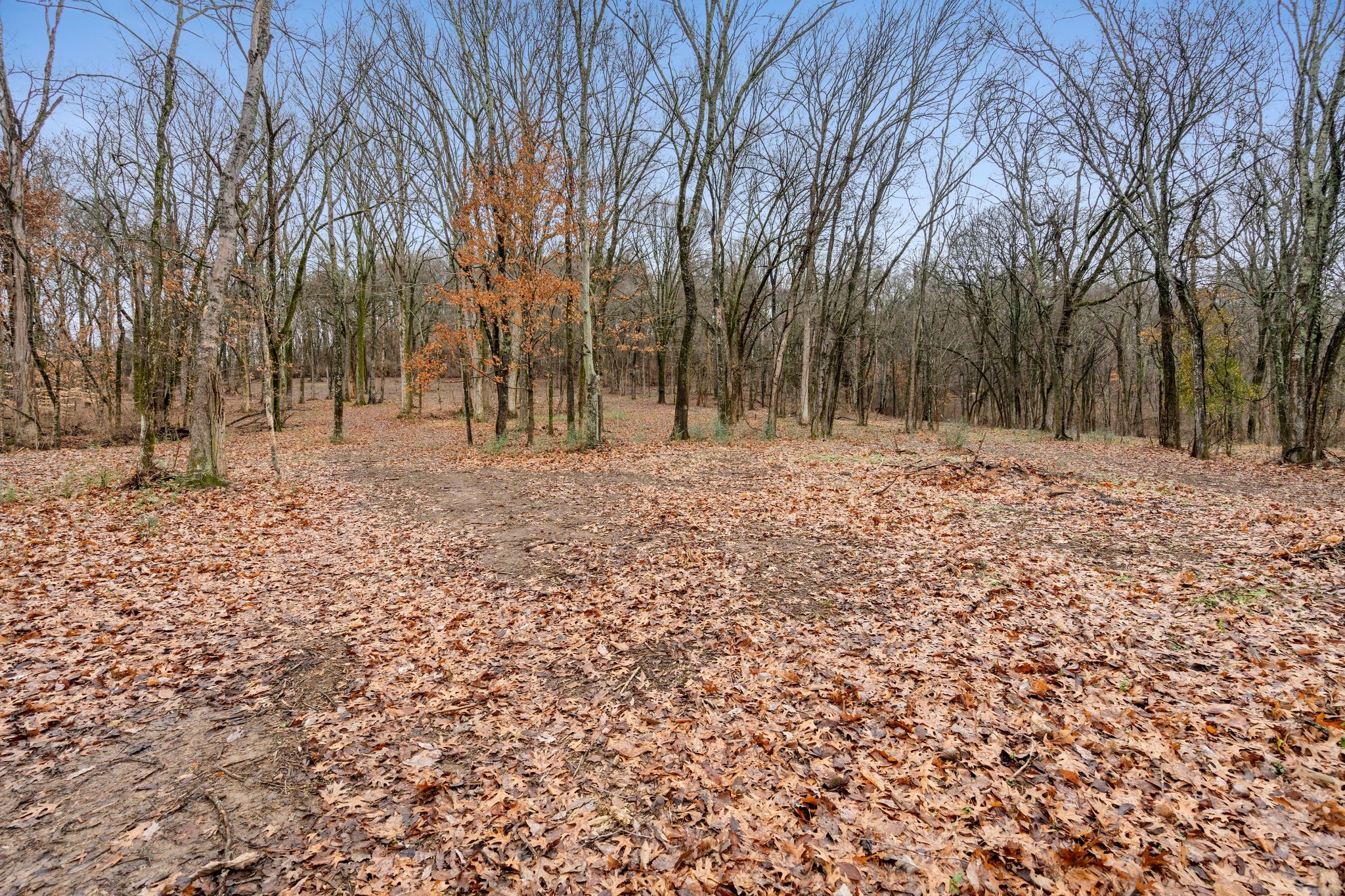 0 Carters Creek Pike Franklin, TN 37064 - Photo 36 of 36 a backyard of a house with lots of green space