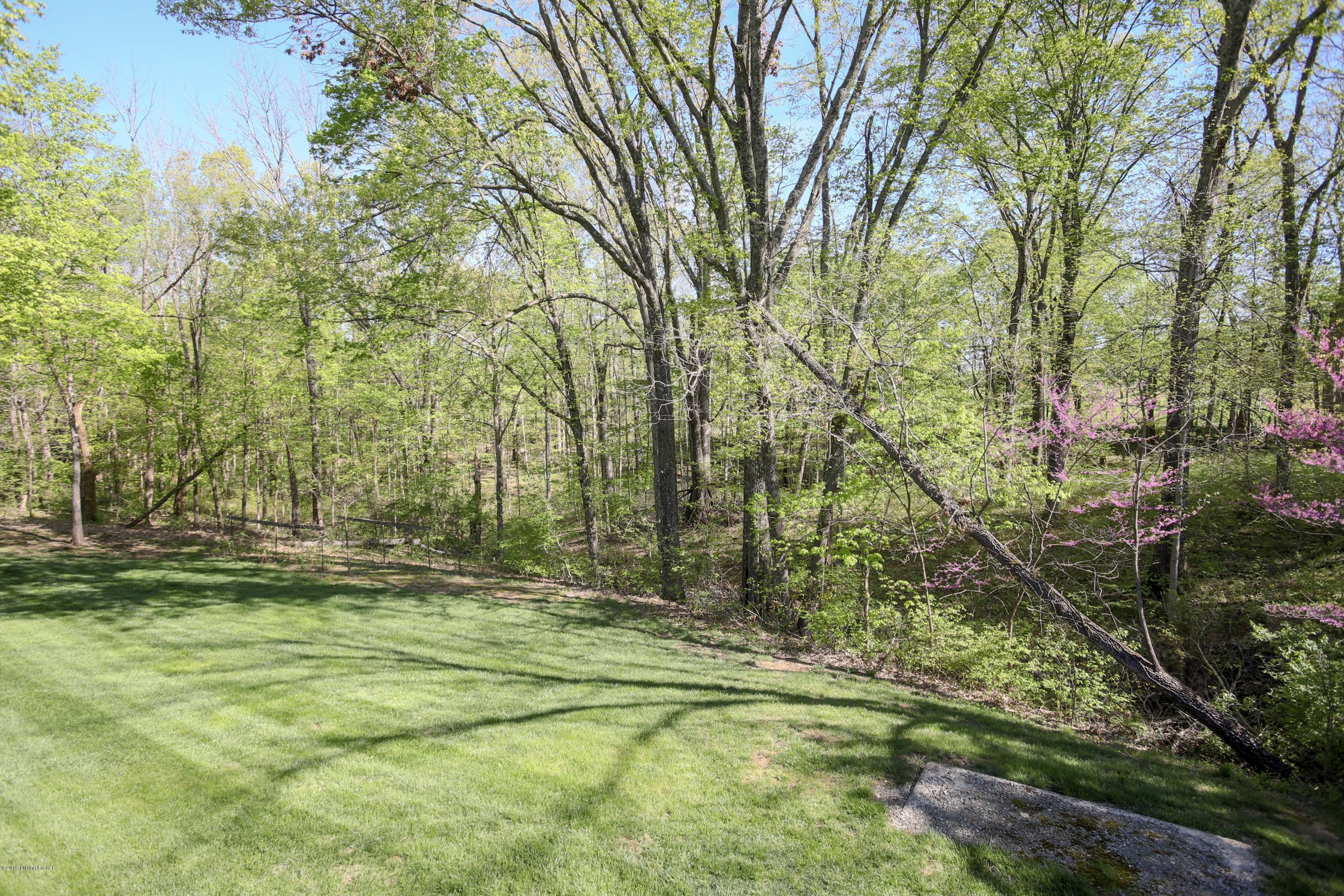 7401 Old Heady Road Louisville, KY 40299 - Photo 46 of 56 Side yard