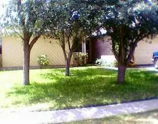a view of backyard with tree