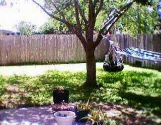 4422 Holly Ridge Drive Corpus Christi, TX 78413 - Photo 2 of 4 a backyard of a house with lots of green space