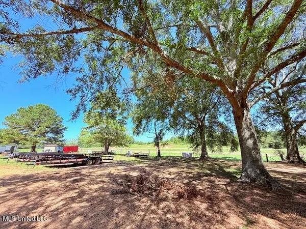 $259,000 | 608 East 98th Highway, Tylertown, MS 39667