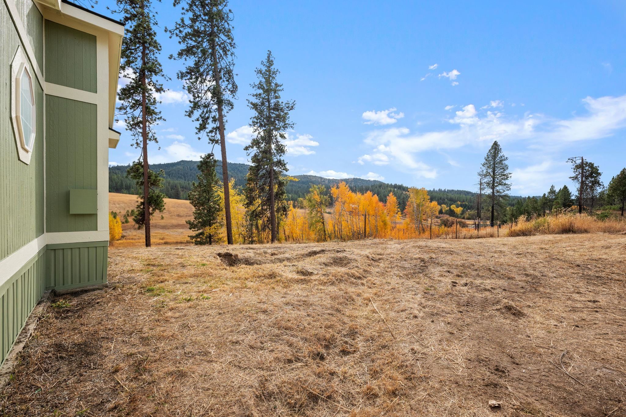 9005 South Jons Road Mica, WA 99023 - Photo 29 of 38 Gallery Image 29
