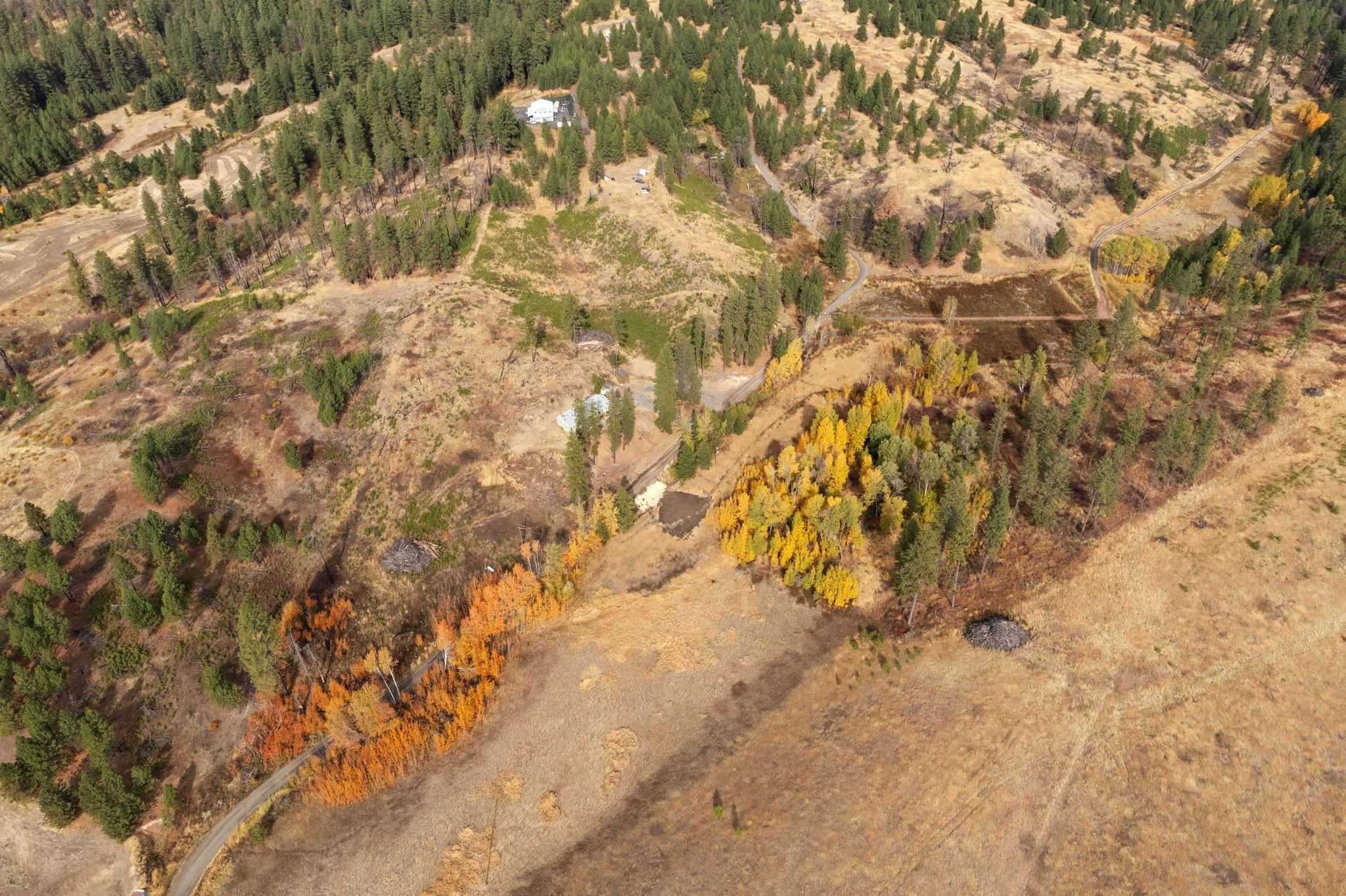 9005 South Jons Road Mica, WA 99023 - Photo 33 of 38 Gallery Image 33