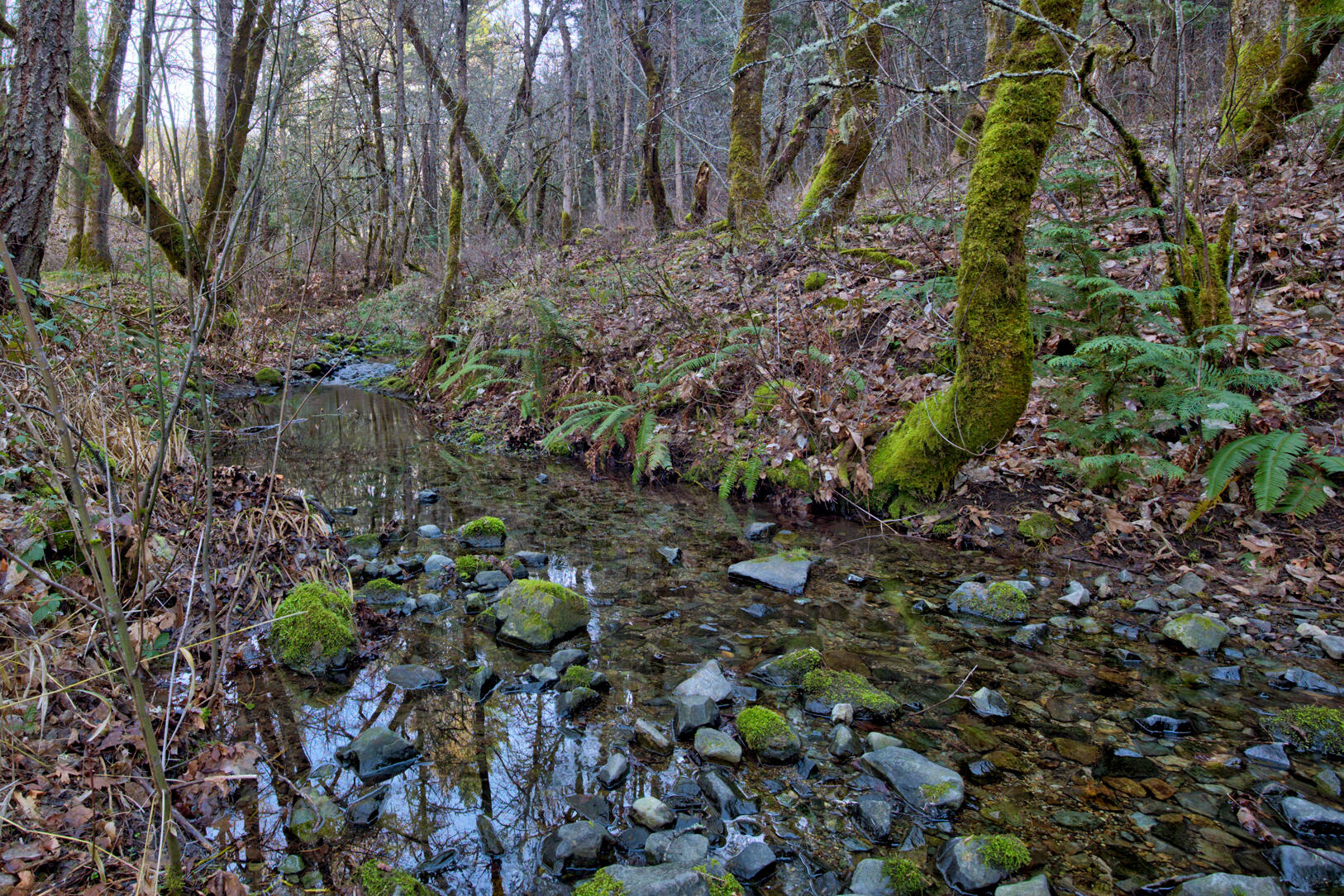 1015 Panther Gulch Road Williams, OR 97544 - Photo 47 of 49 Creek