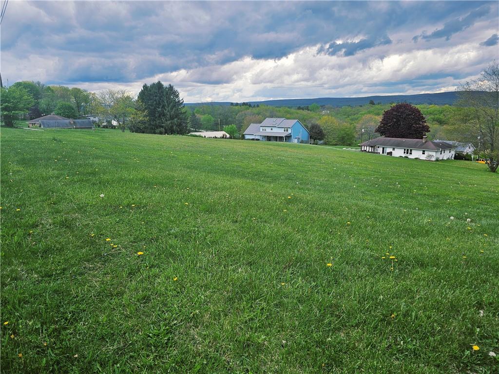 144 White Star Way Jennerstown, PA 15547 - Photo 14 of 17 a view of yard with swimming pool and trees in the background