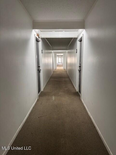 2823 Bienville Boulevard Ocean Springs, MS 39564 - Photo 6 of 19 thumbnail_IMG_8735