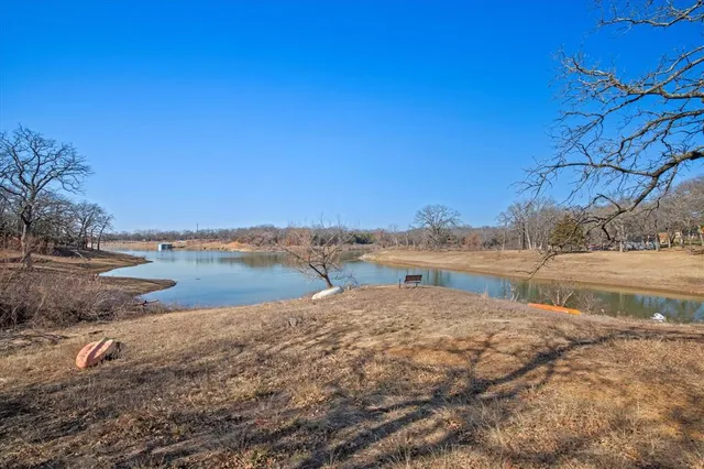 a view of empty space with trees