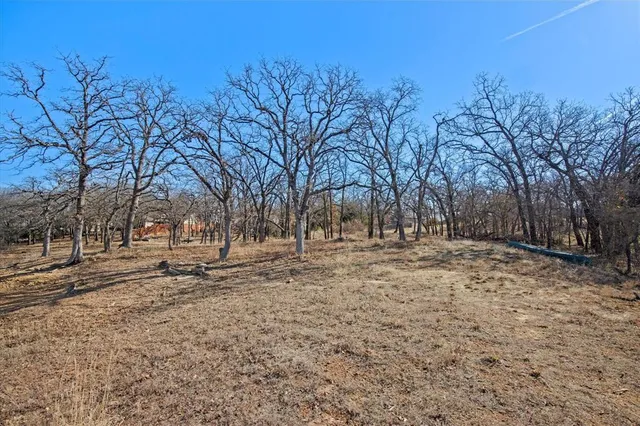 a view of road and trees